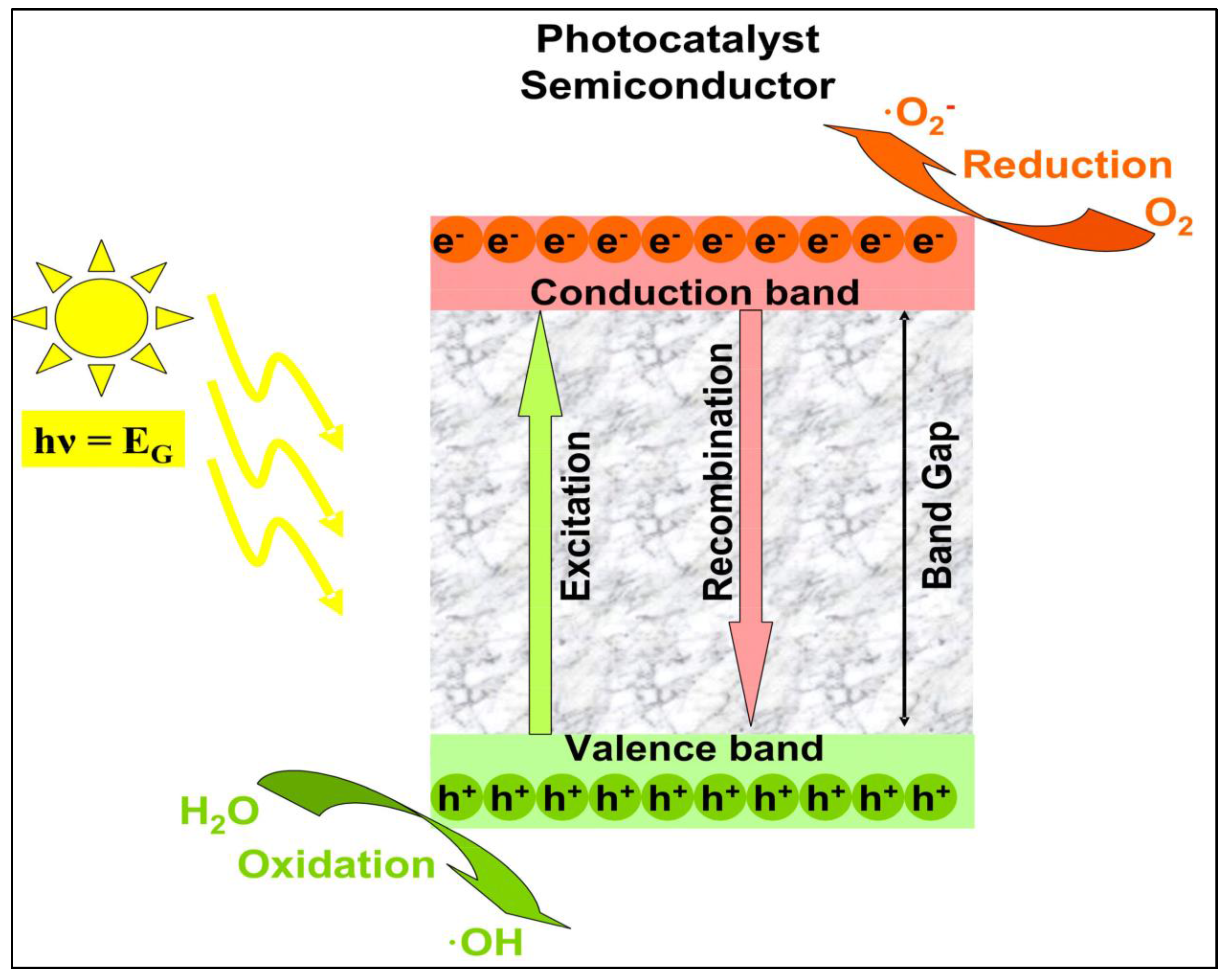Catalysts 13 01280 g009 Catalysts 13 01280 g009