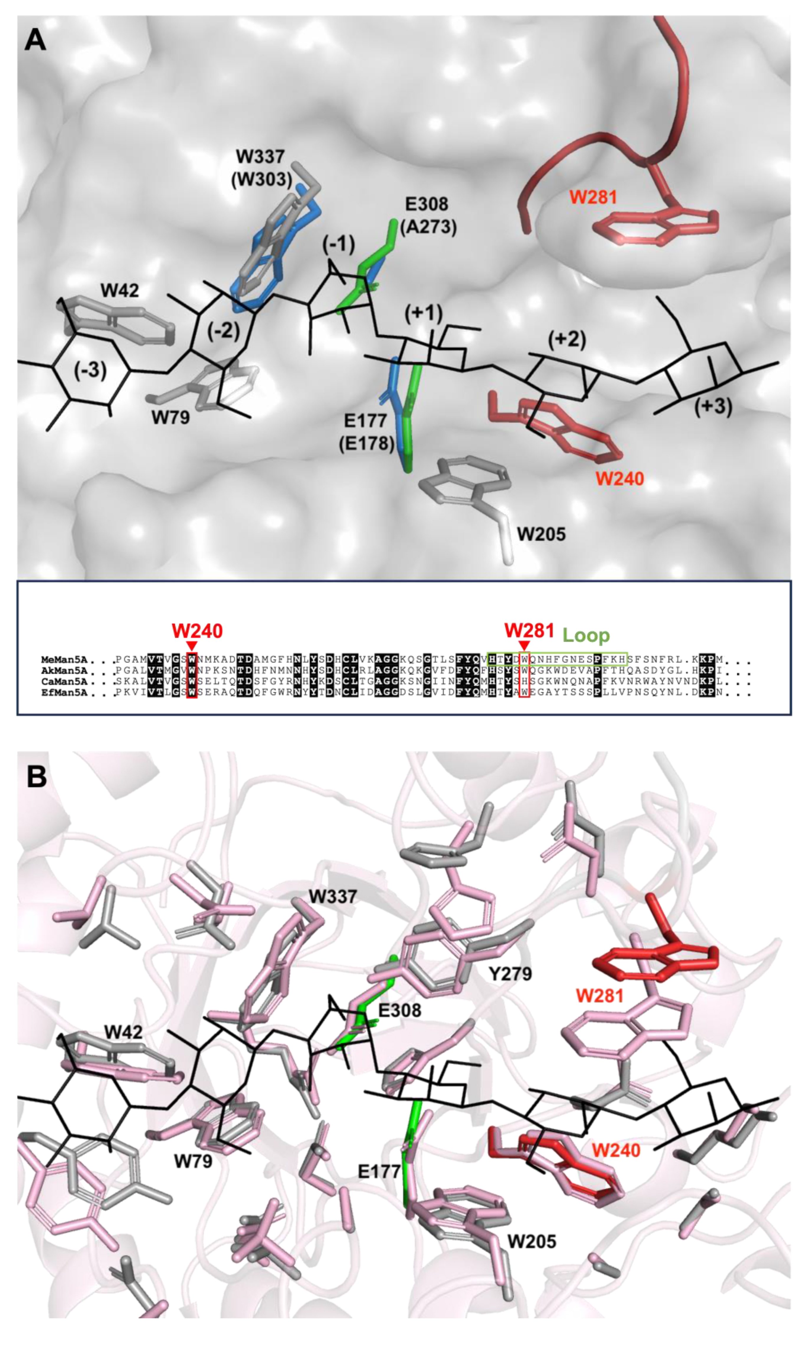Catalysts 13 01281 g001