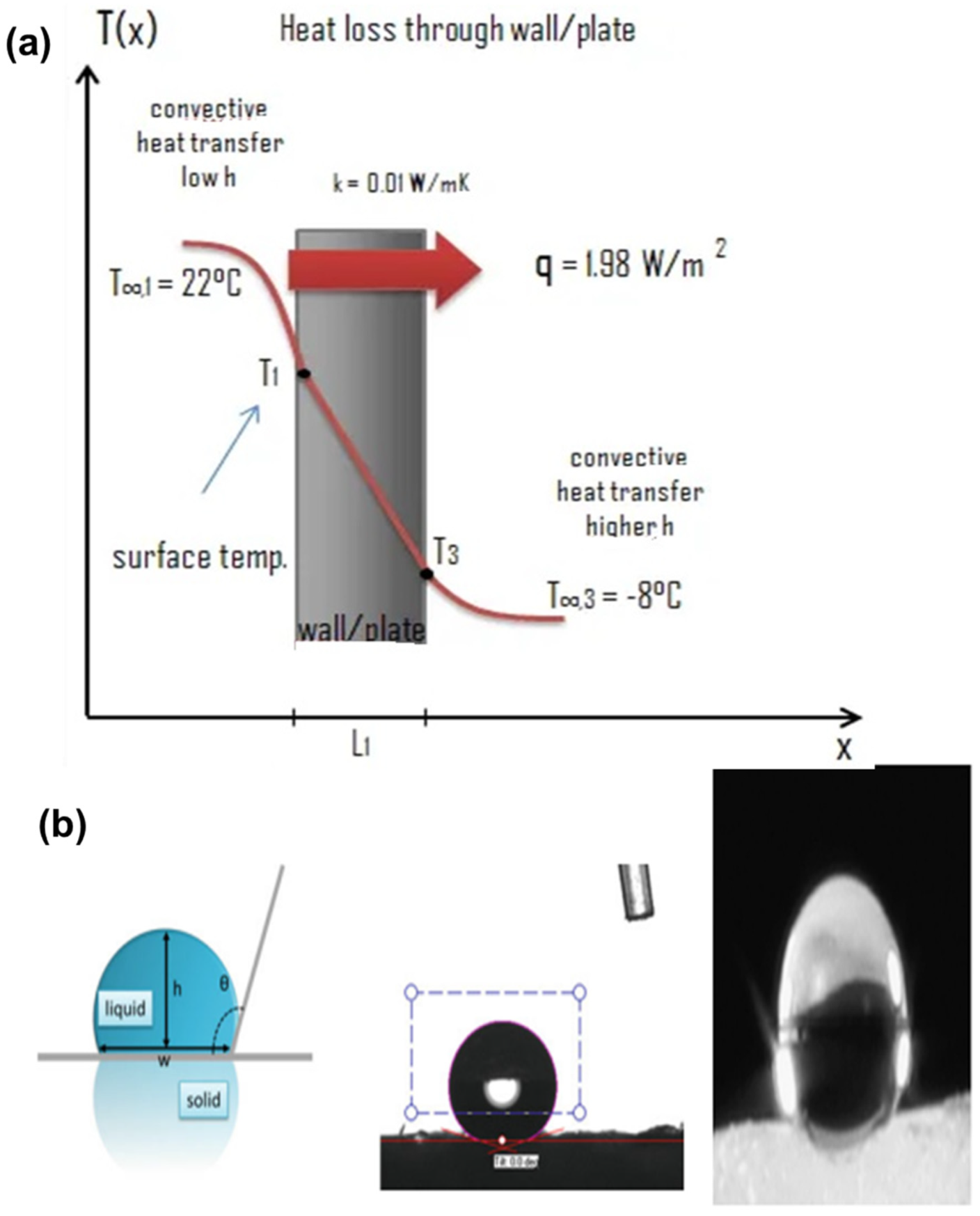 Catalysts 13 01286 g008