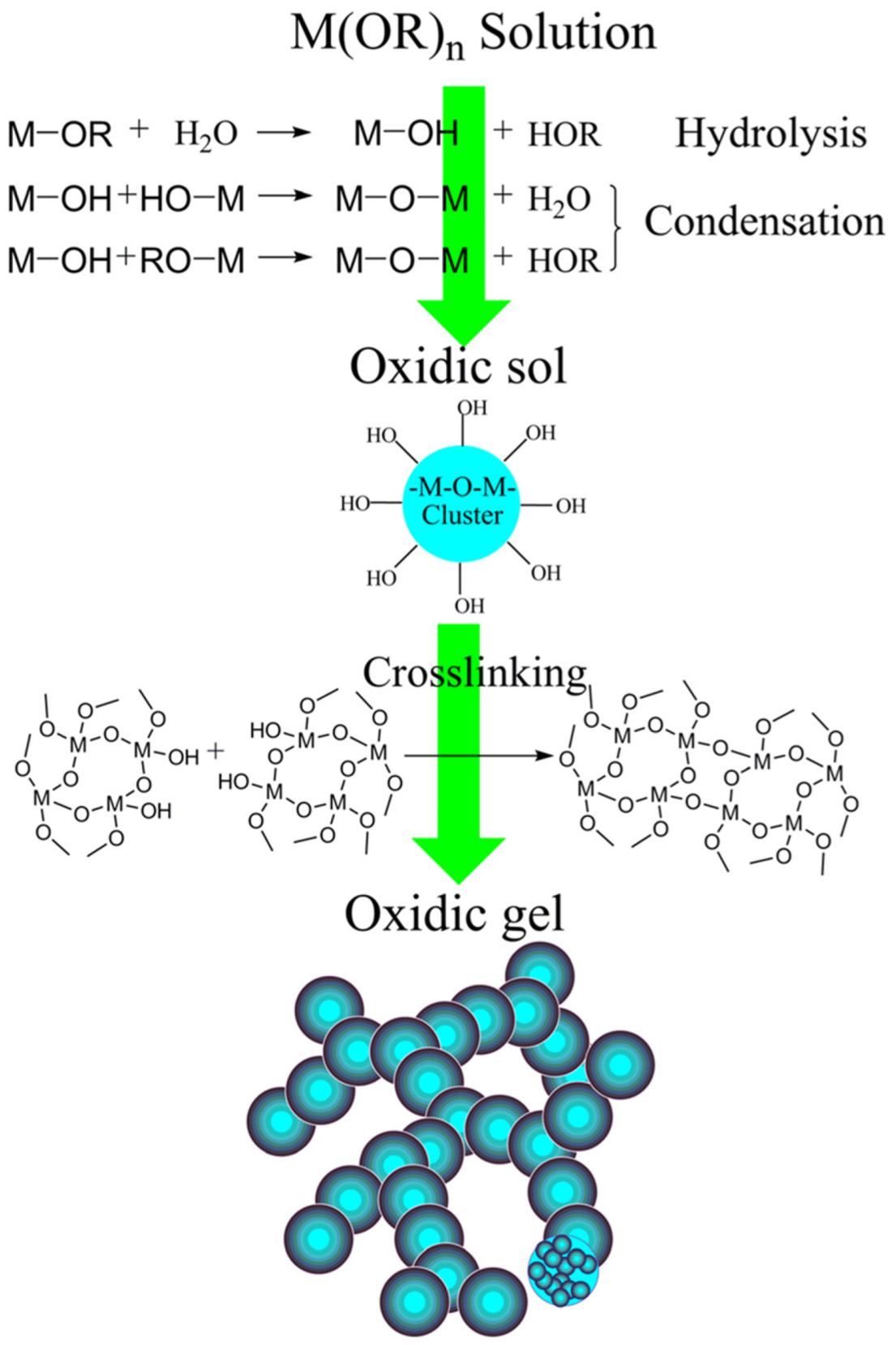 Catalysts 13 01286 g012
