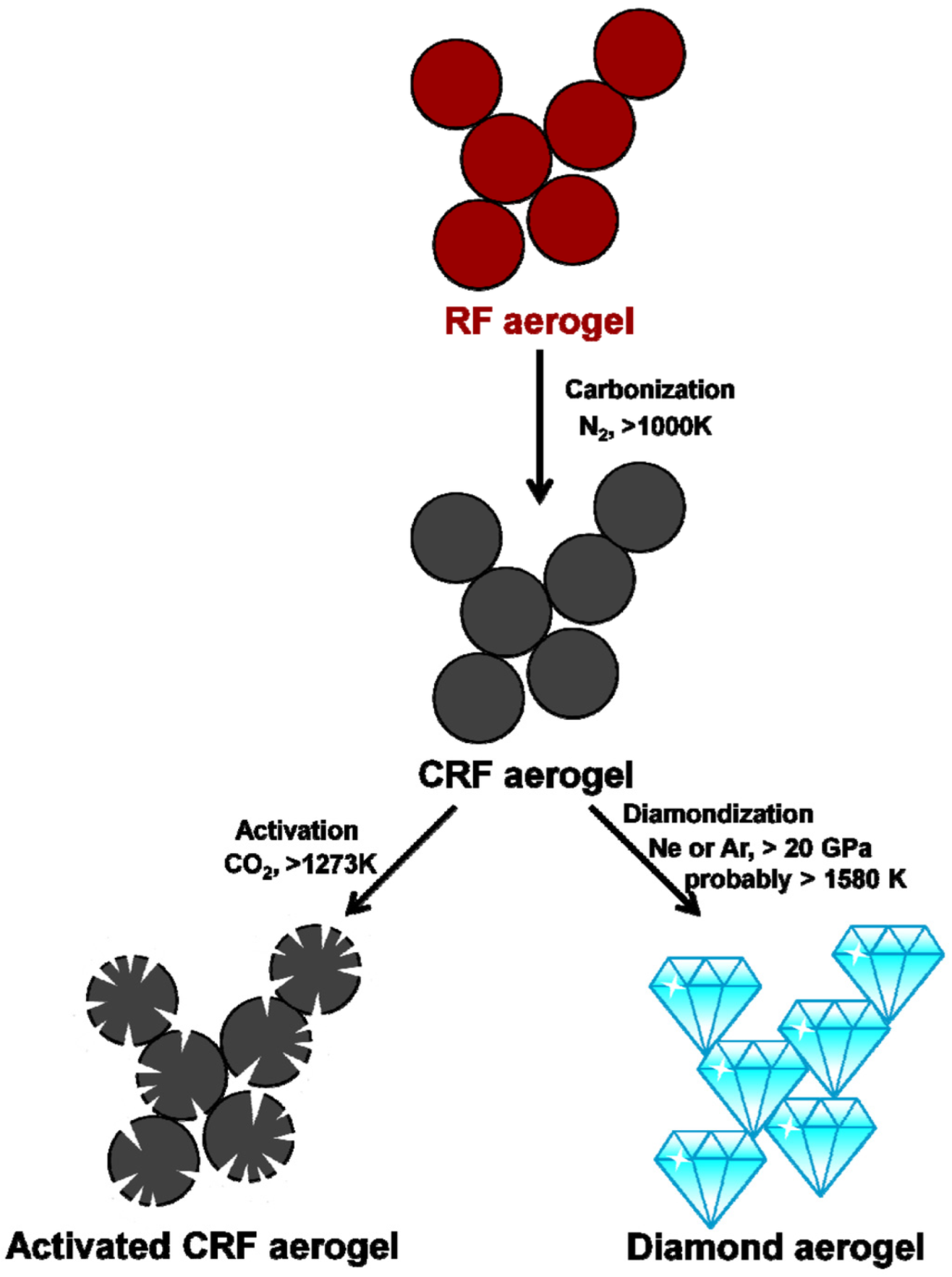 Catalysts 13 01286 g013