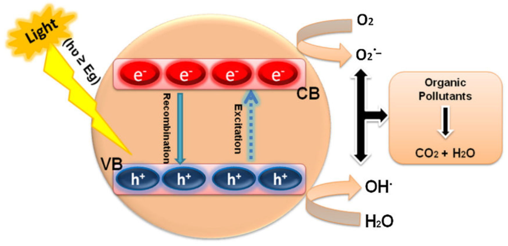 Catalysts 13 01286 g014