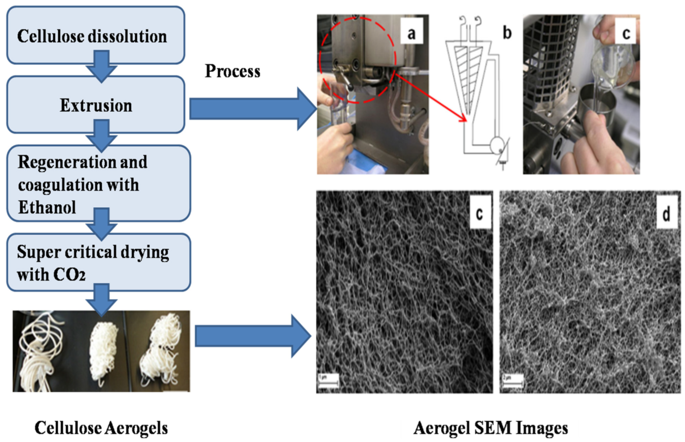 Catalysts 13 01286 g018