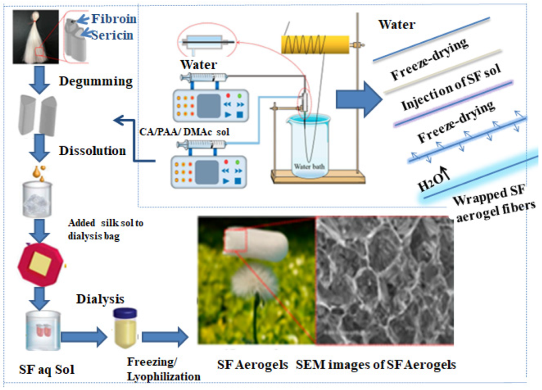 Catalysts 13 01286 g019