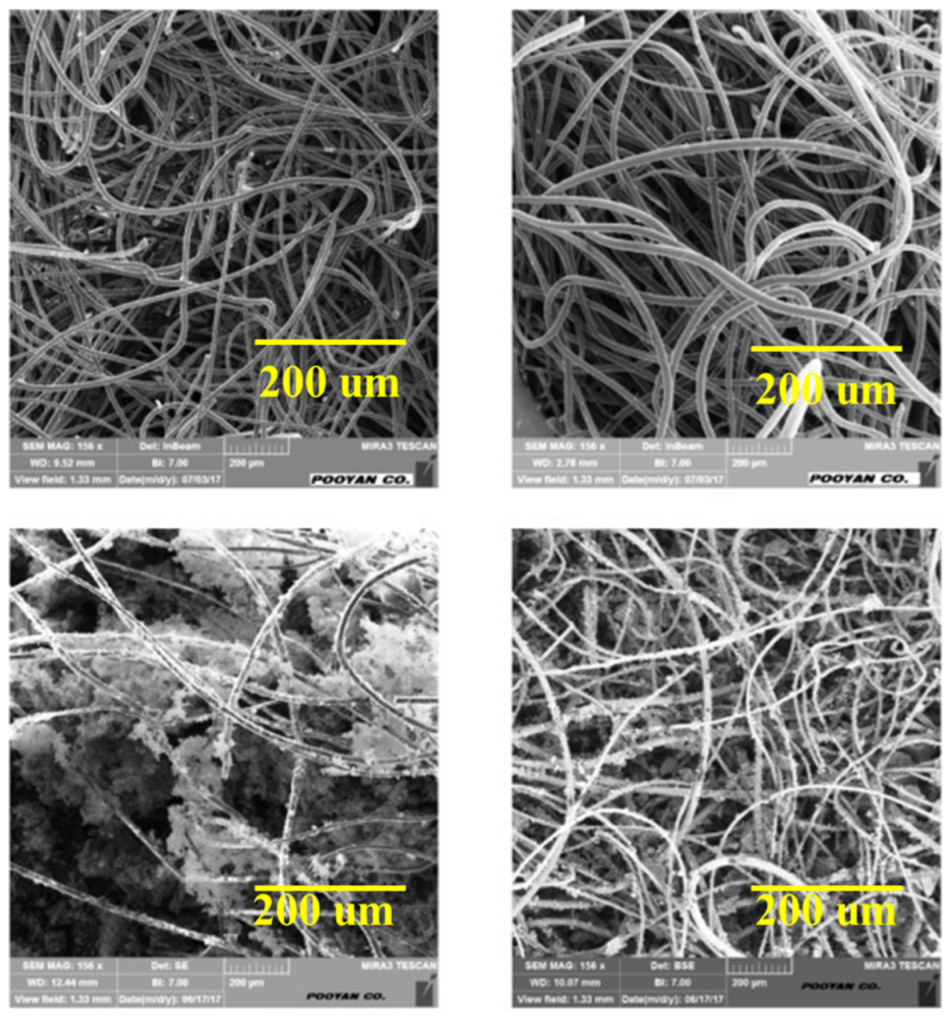 Catalysts 13 01286 g020