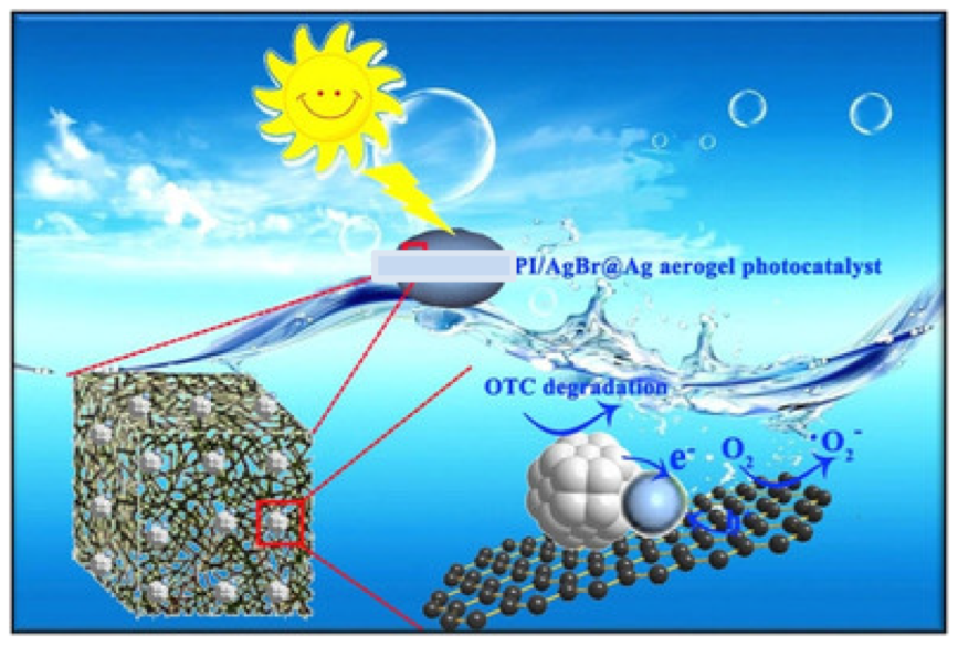 Catalysts 13 01286 g023