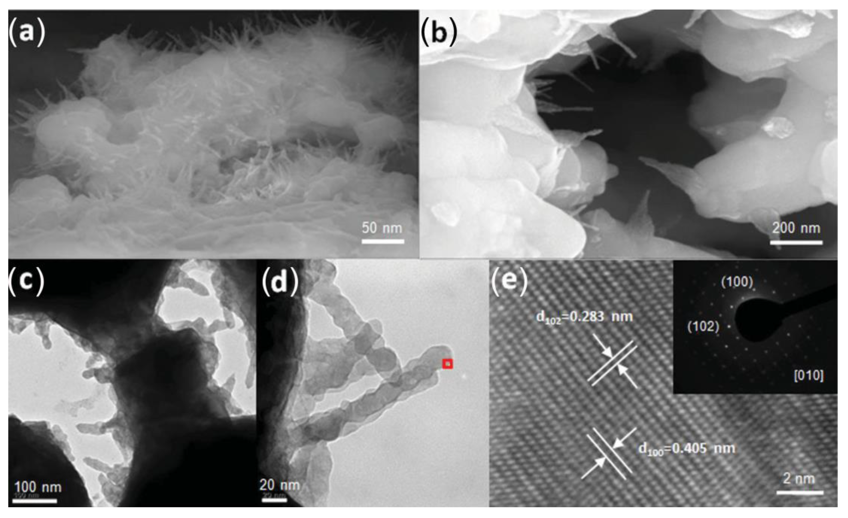 Catalysts 13 01288 g006