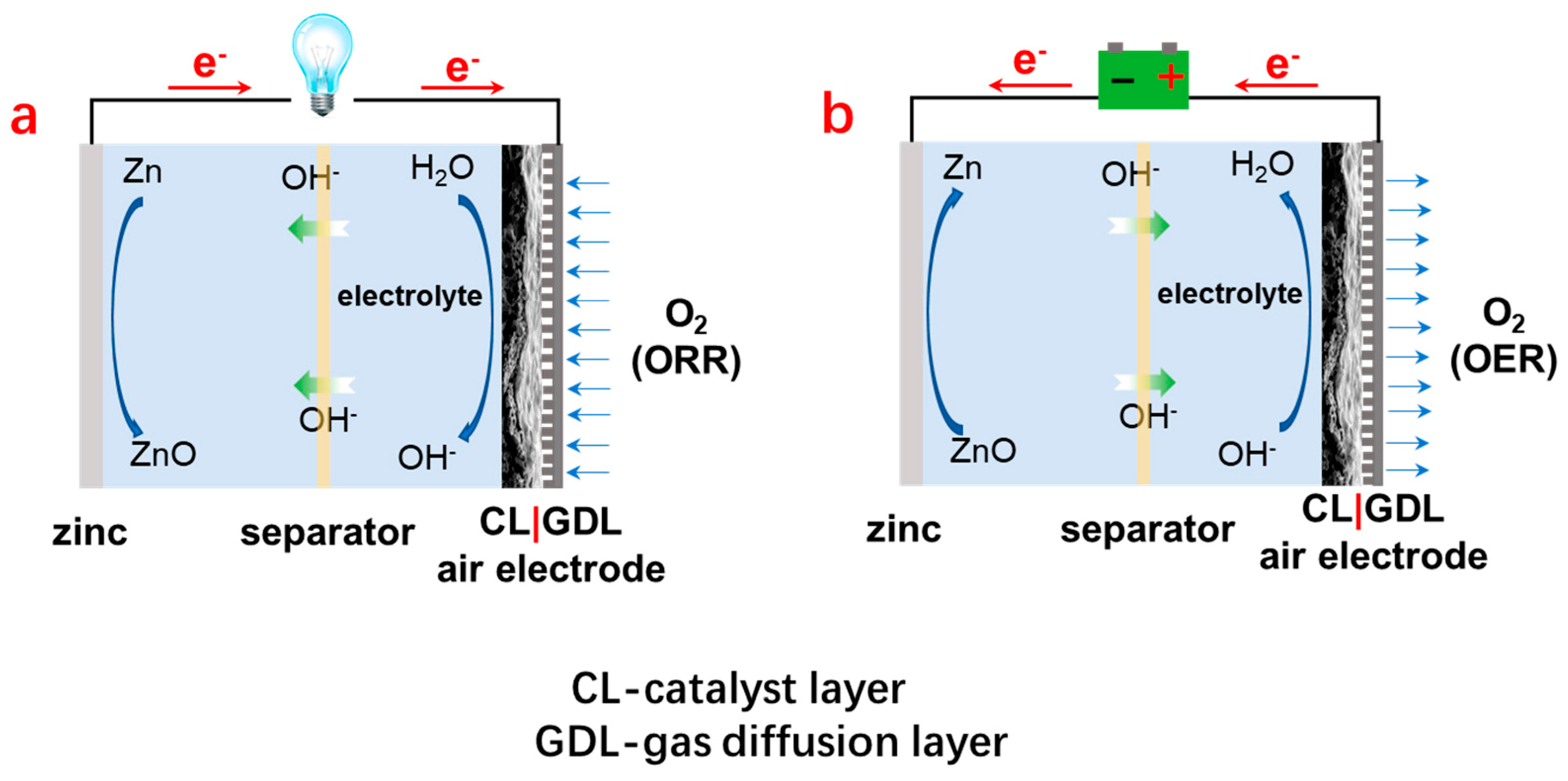 Catalysts 13 01289 g001