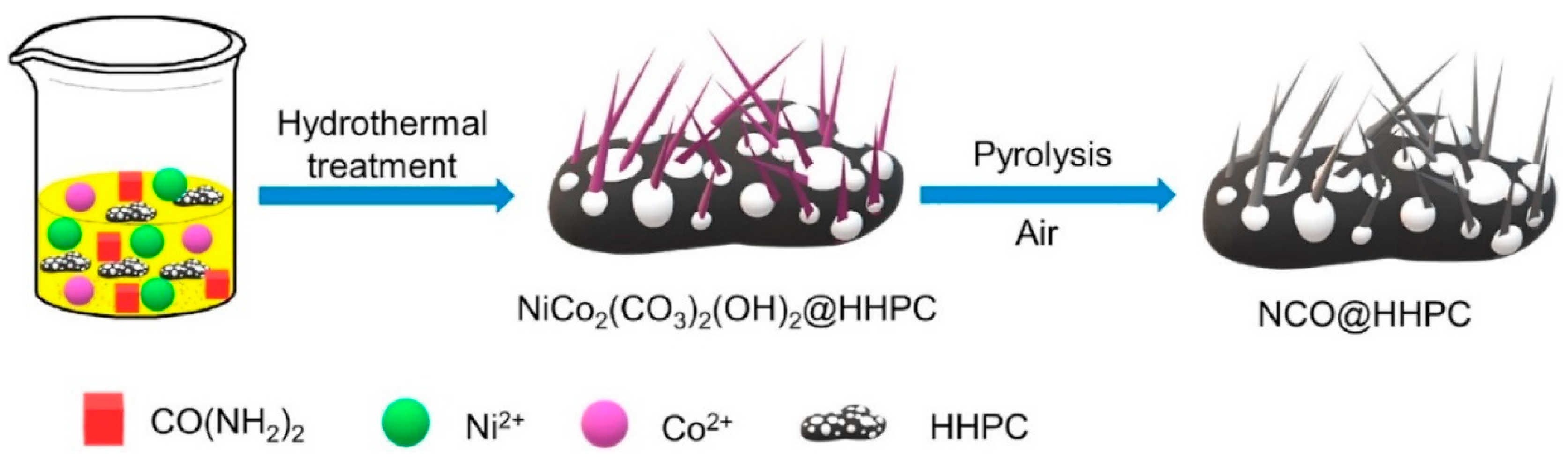 Catalysts 13 01289 g005