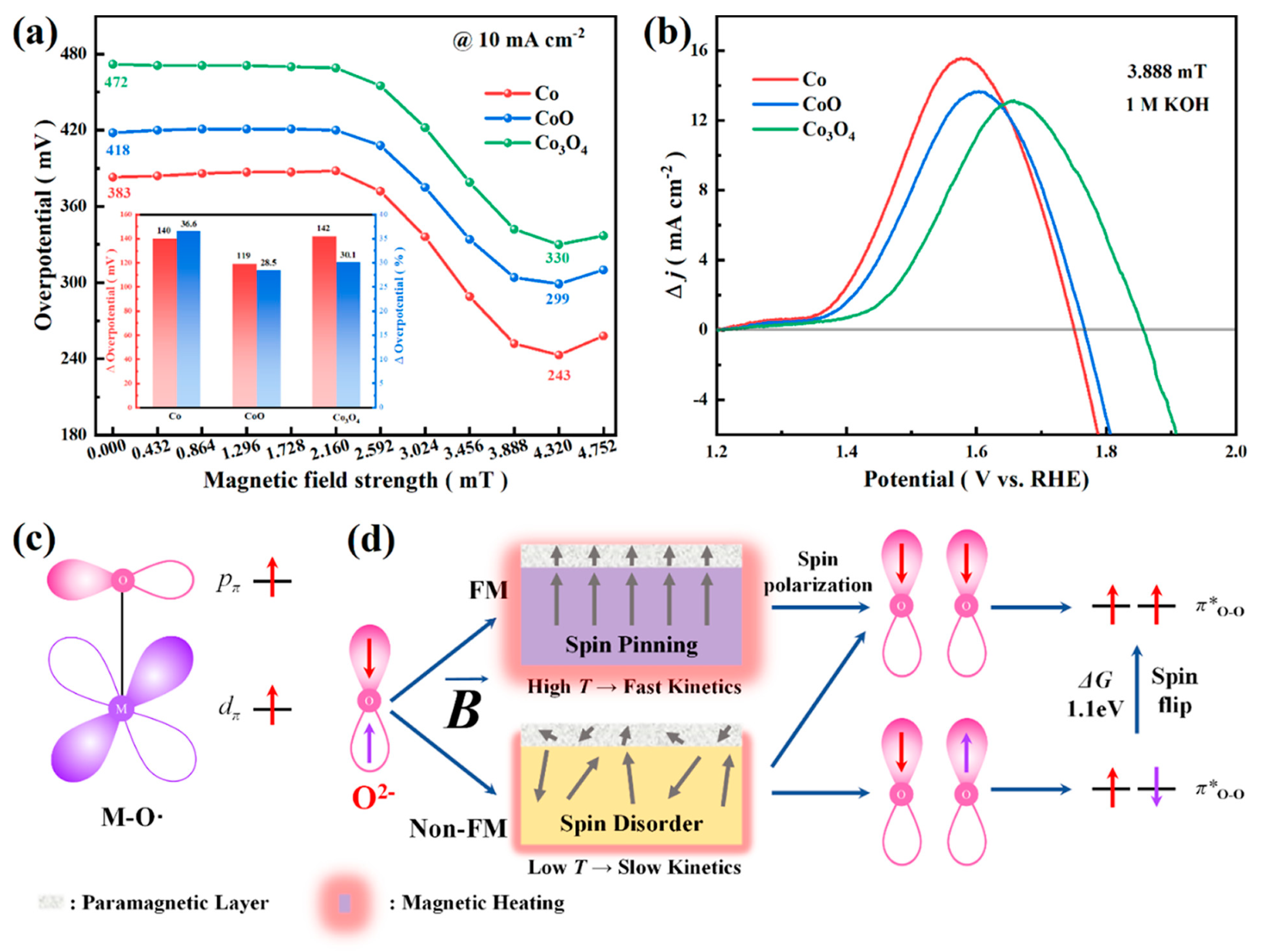Catalysts 13 01289 g007