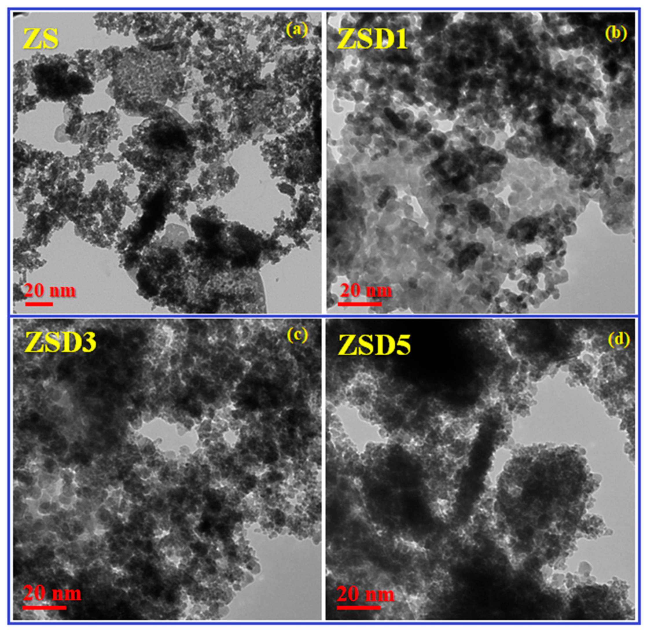 Catalysts 13 01292 g002