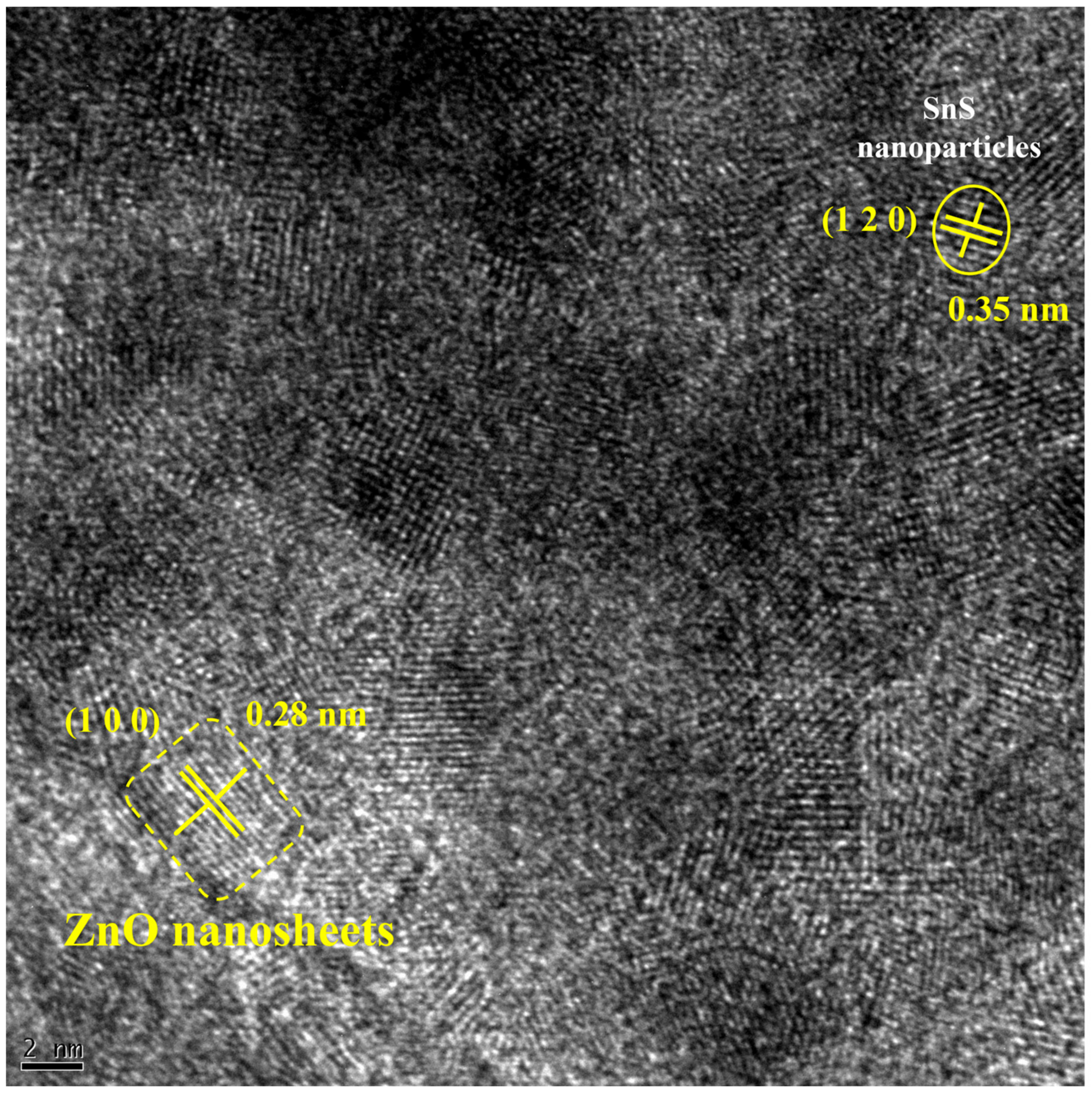 Catalysts 13 01292 g003