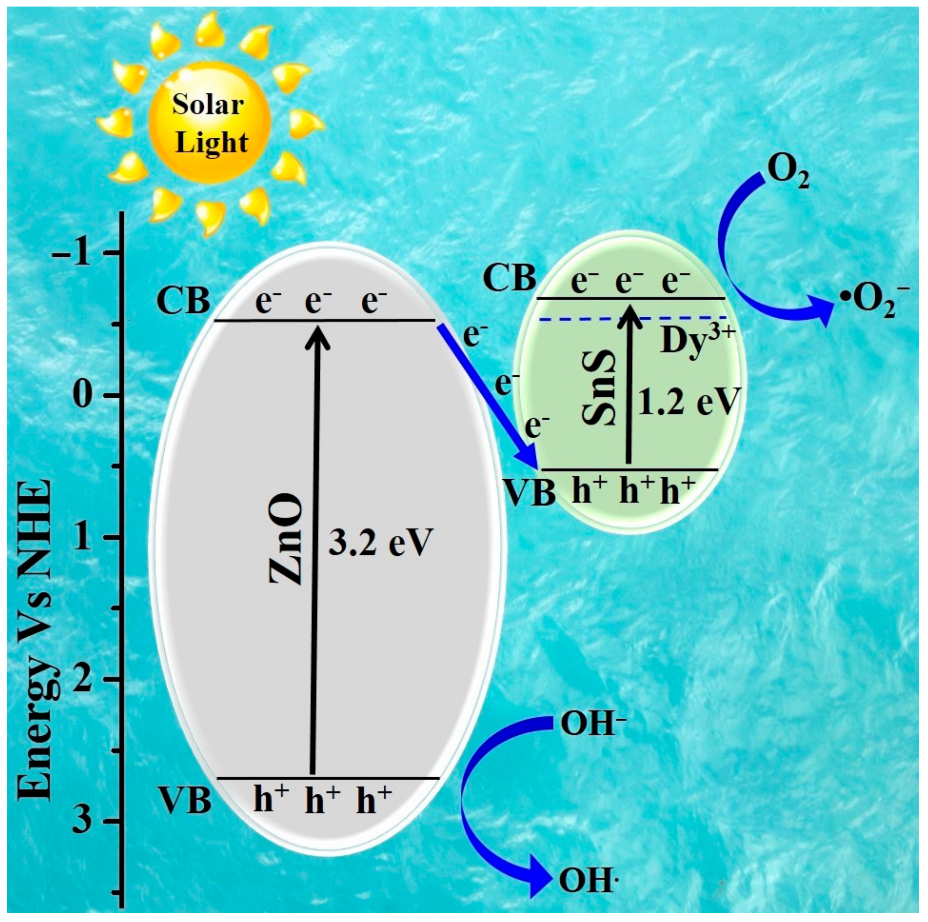 Catalysts 13 01292 g011