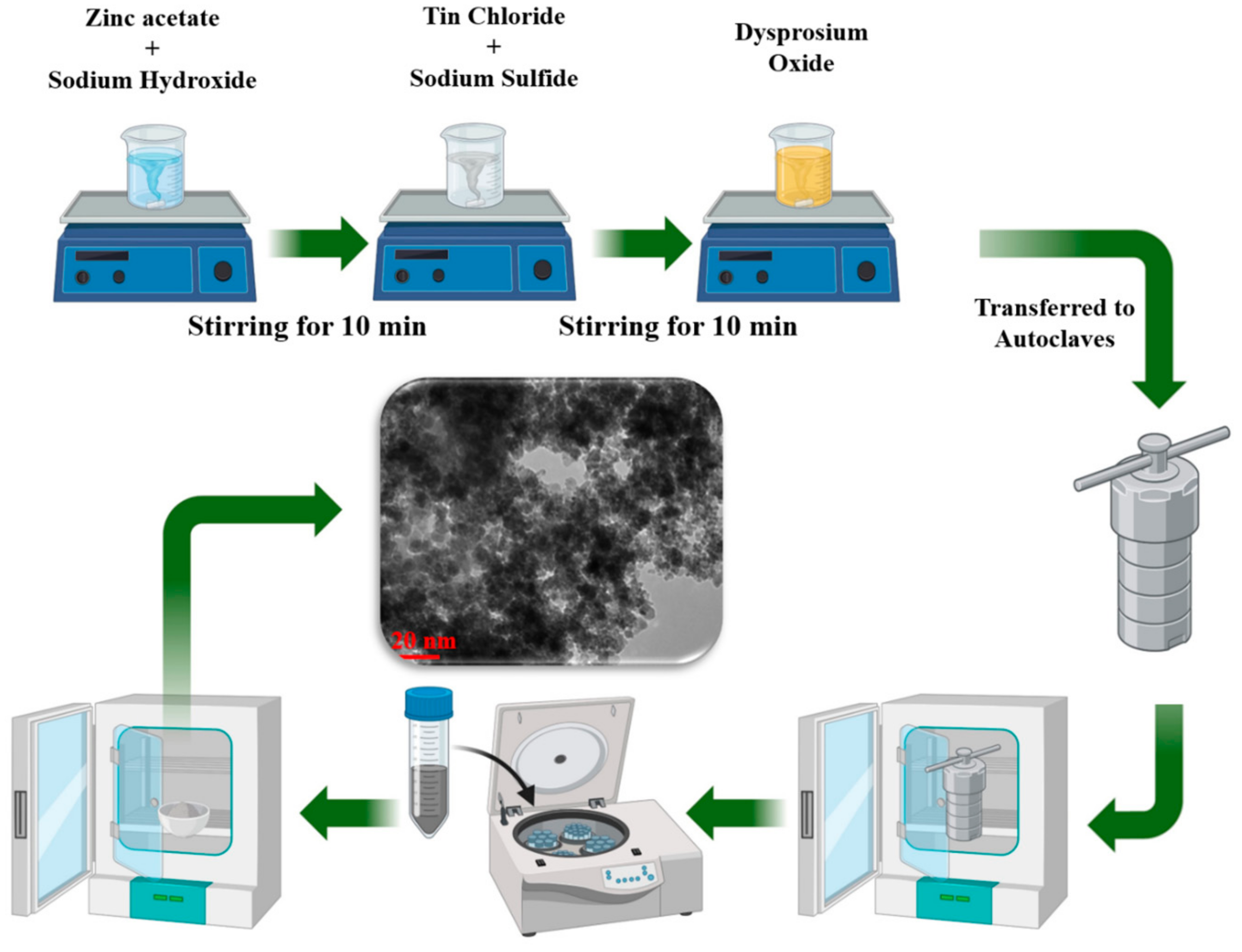 Catalysts 13 01292 g012