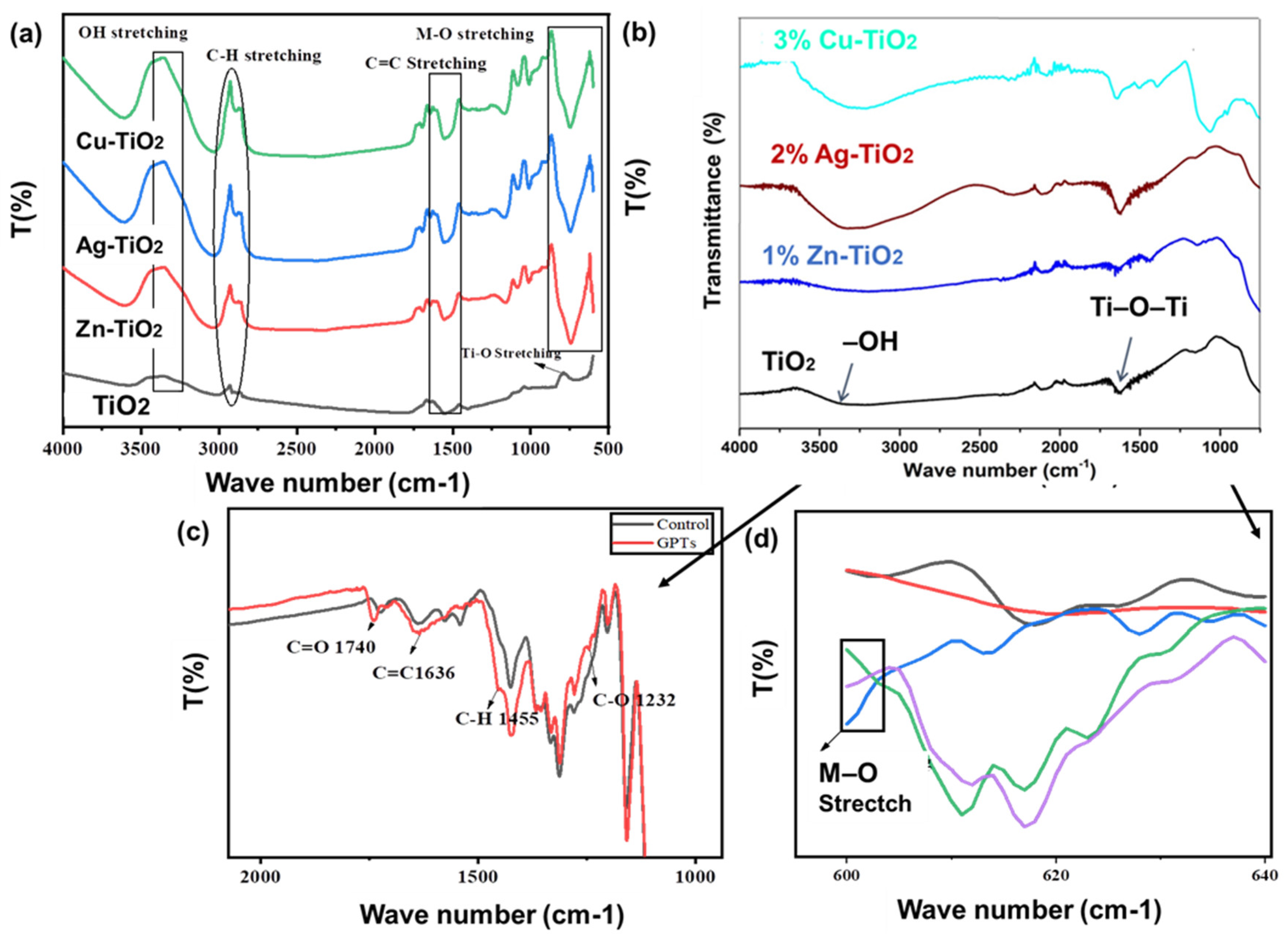 Catalysts 13 01293 g006
