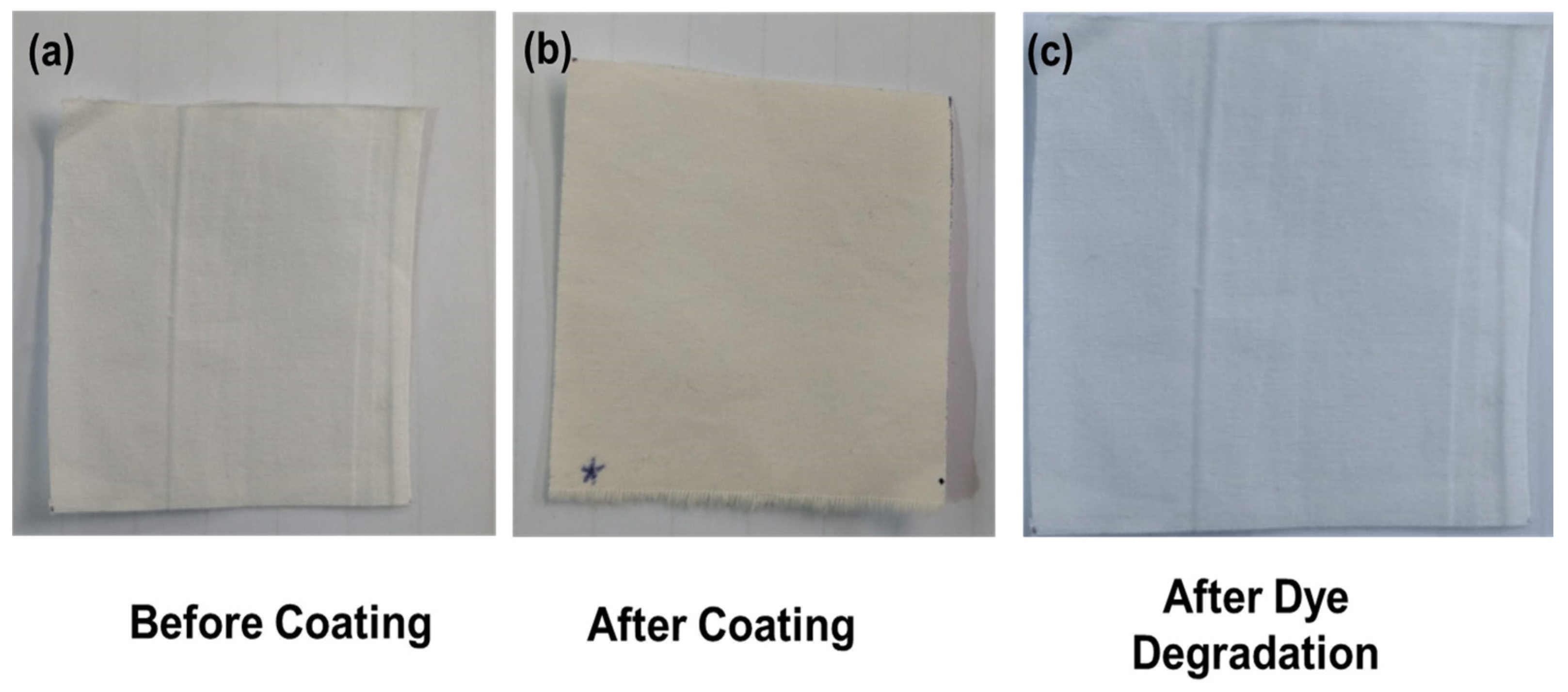 Catalysts 13 01293 g010