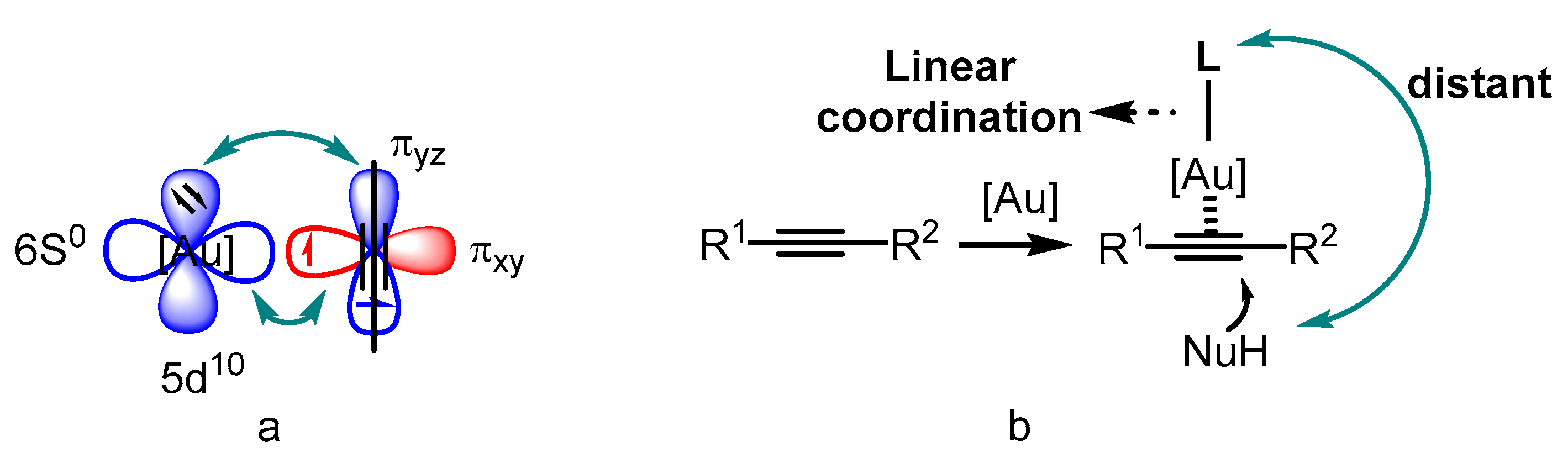 Catalysts 13 01294 g001