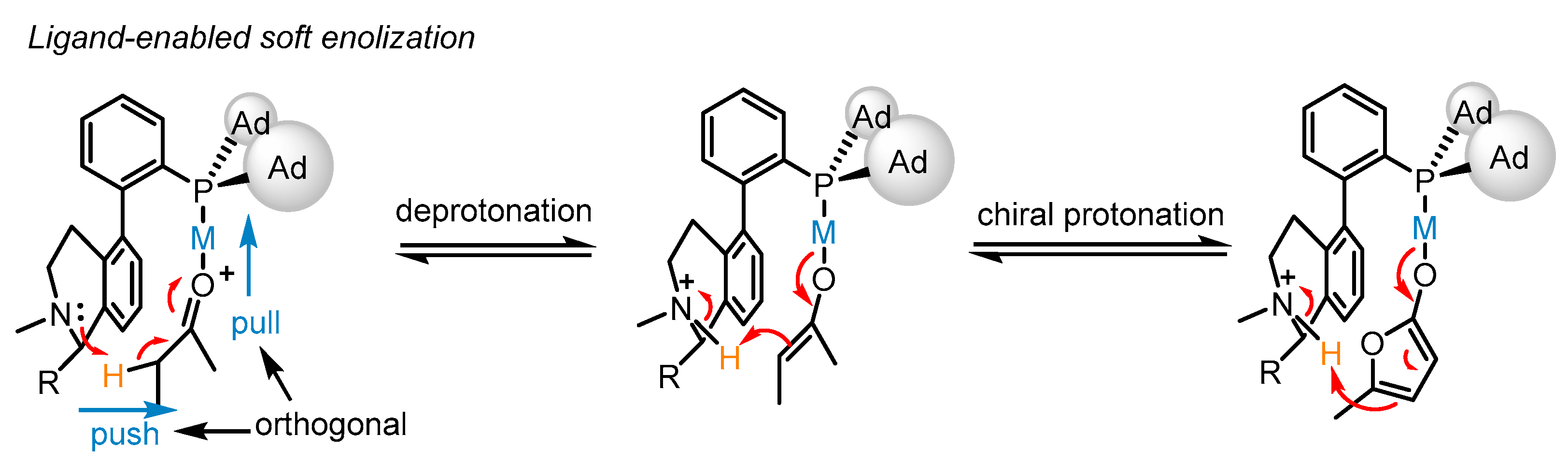 Catalysts 13 01294 sch014