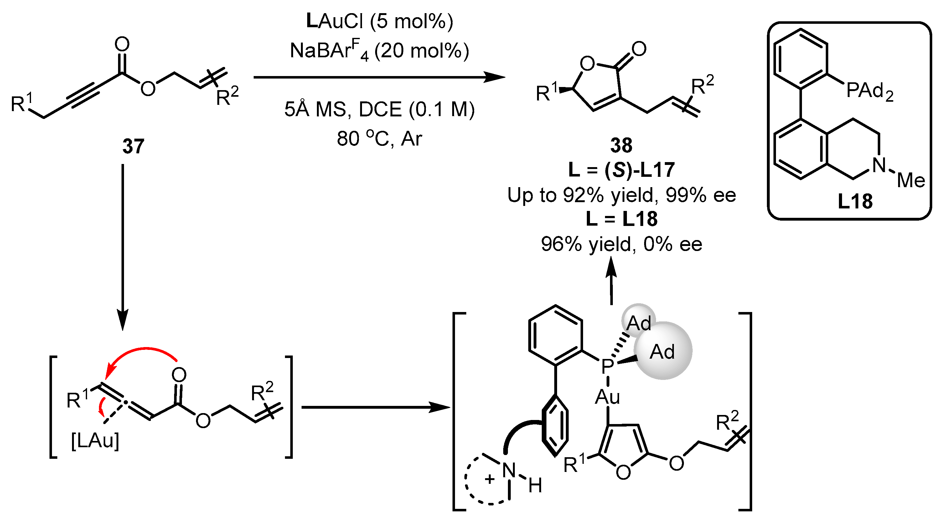 Catalysts 13 01294 sch016