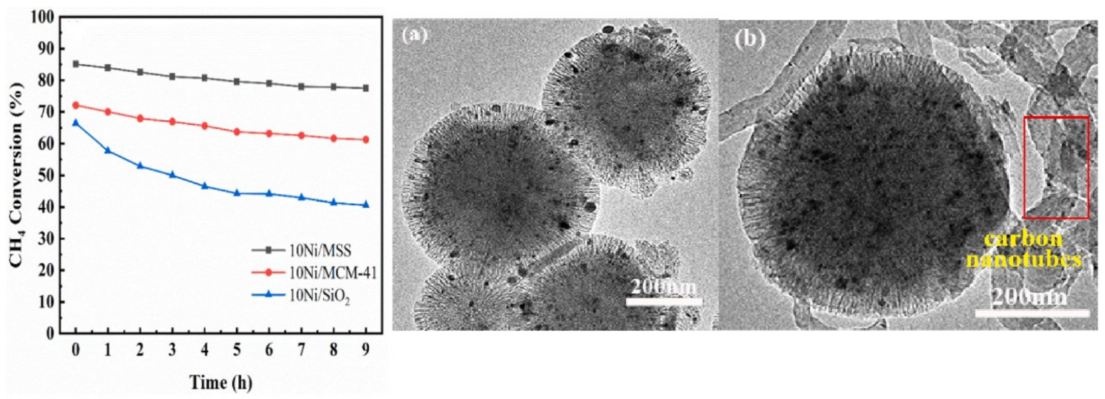 Catalysts 13 01296 g008