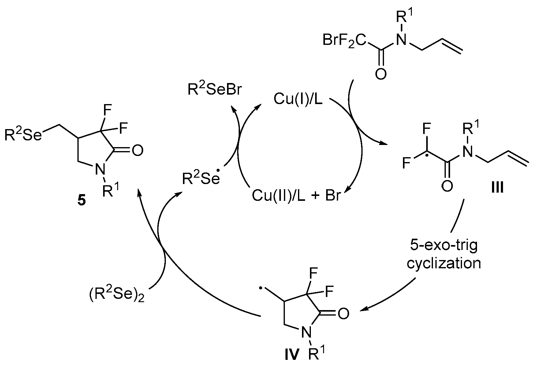 Catalysts 13 01300 sch008