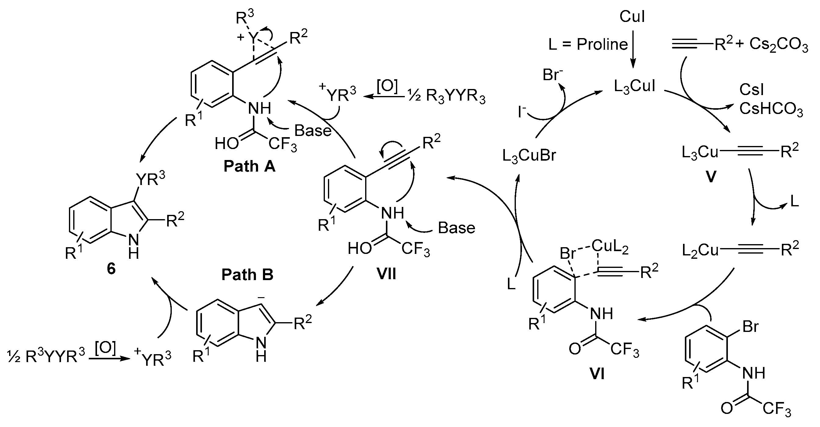 Catalysts 13 01300 sch010