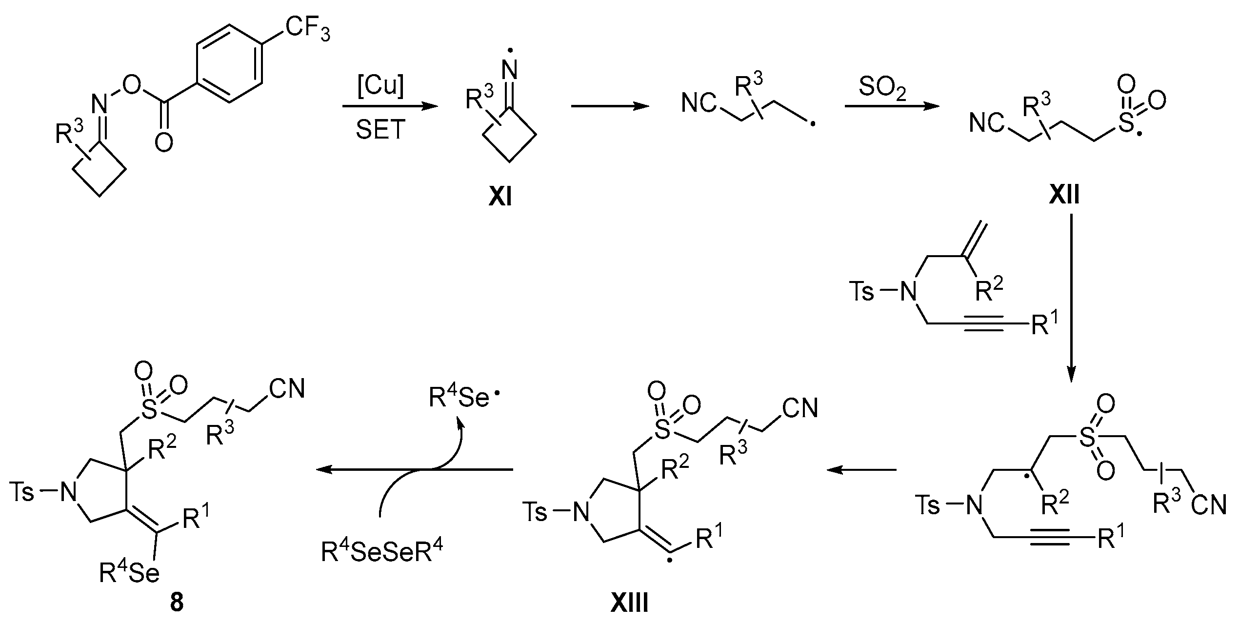 Catalysts 13 01300 sch014