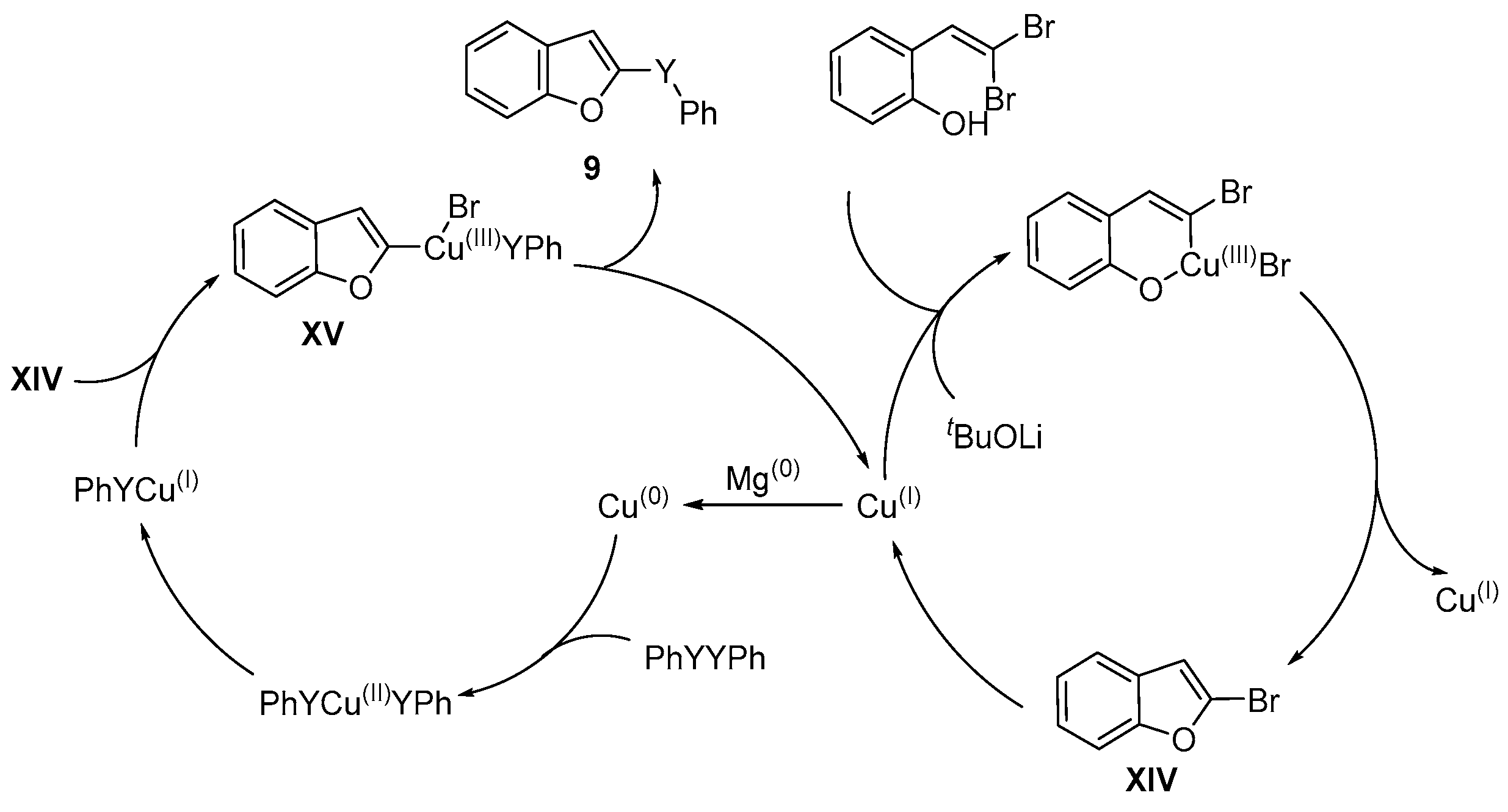 Catalysts 13 01300 sch016