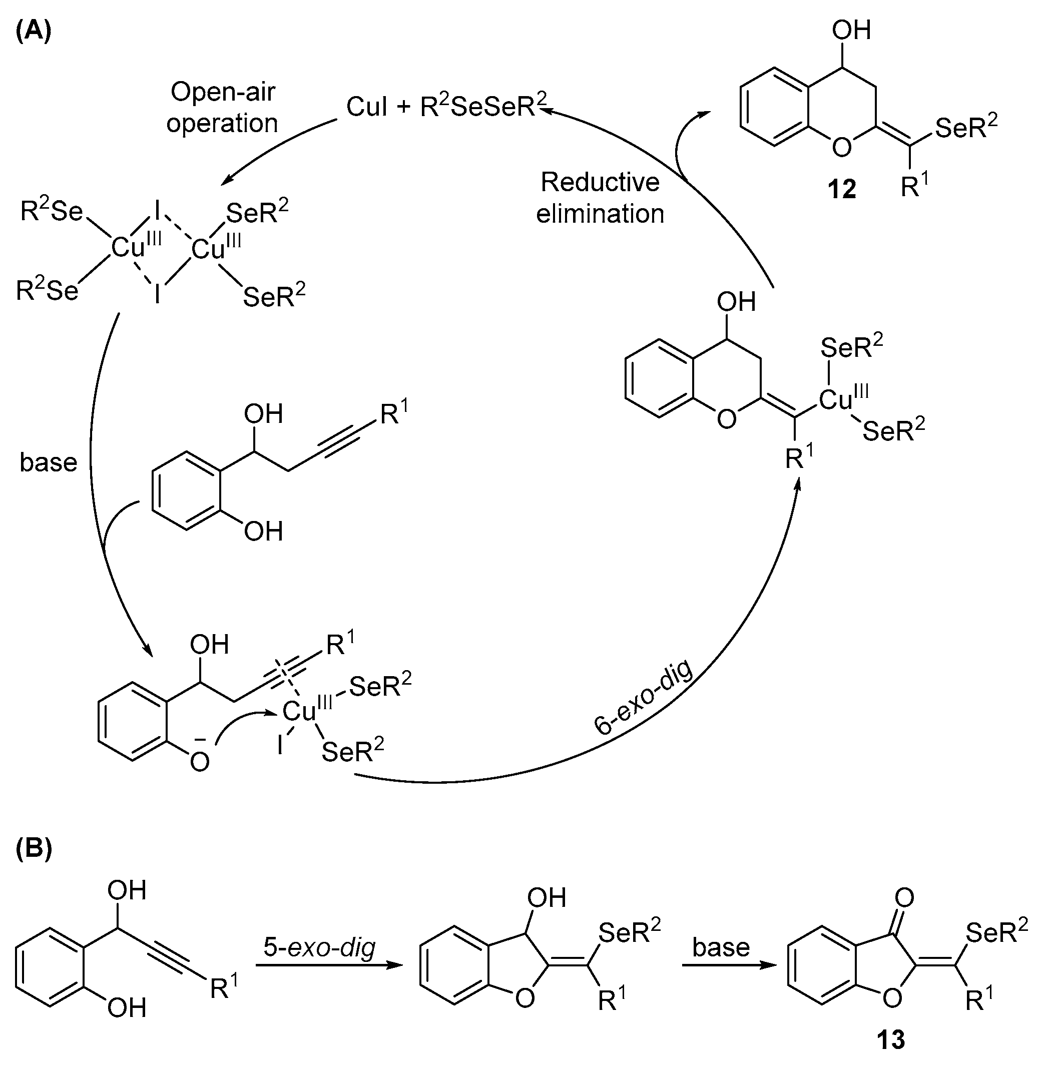 Catalysts 13 01300 sch021
