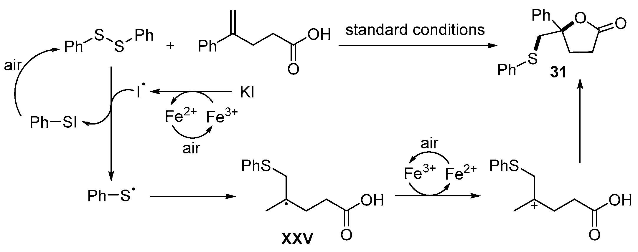 Catalysts 13 01300 sch037