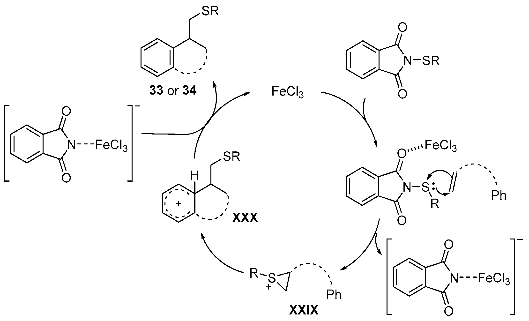 Catalysts 13 01300 sch041