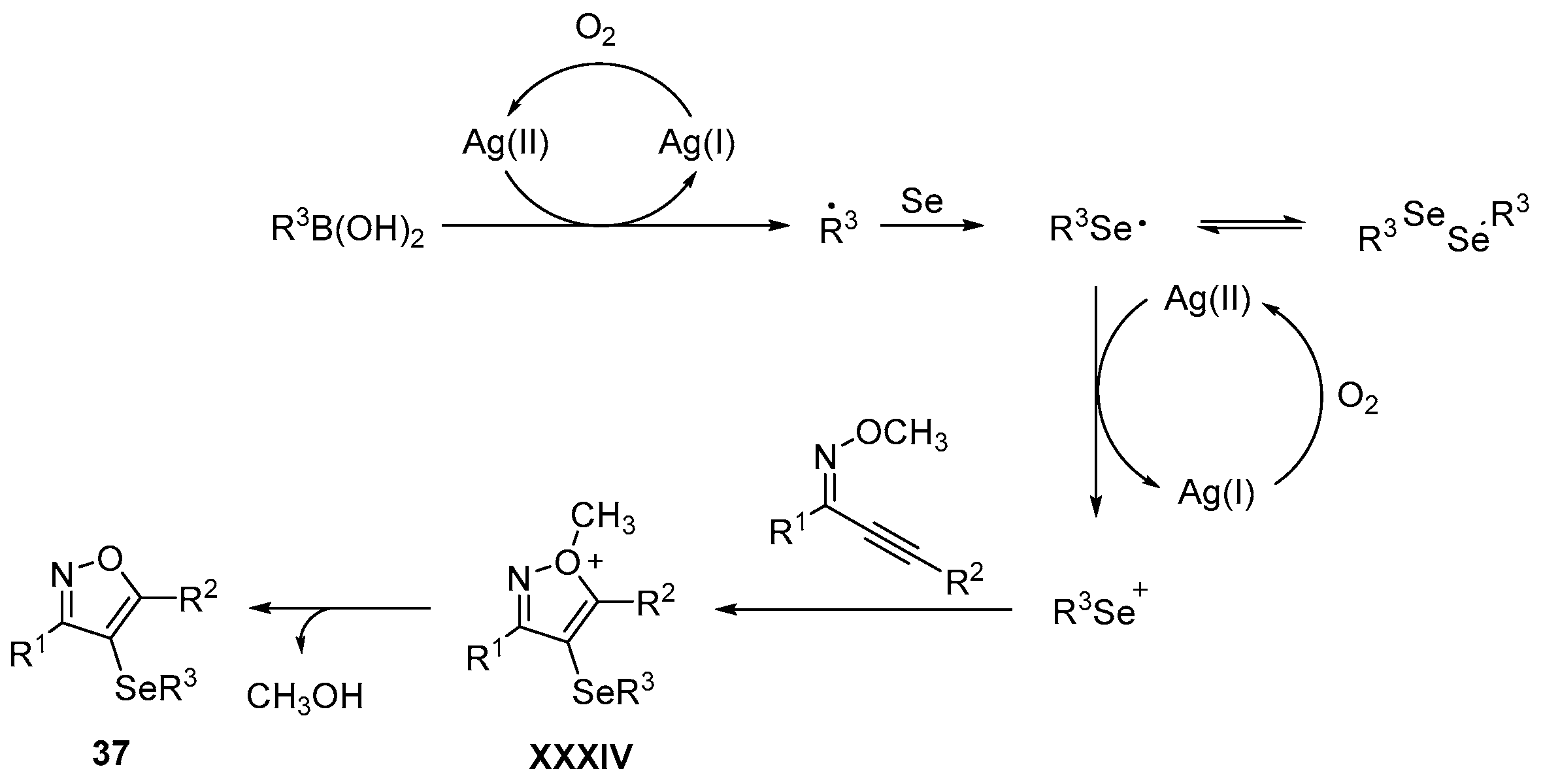 Catalysts 13 01300 sch047