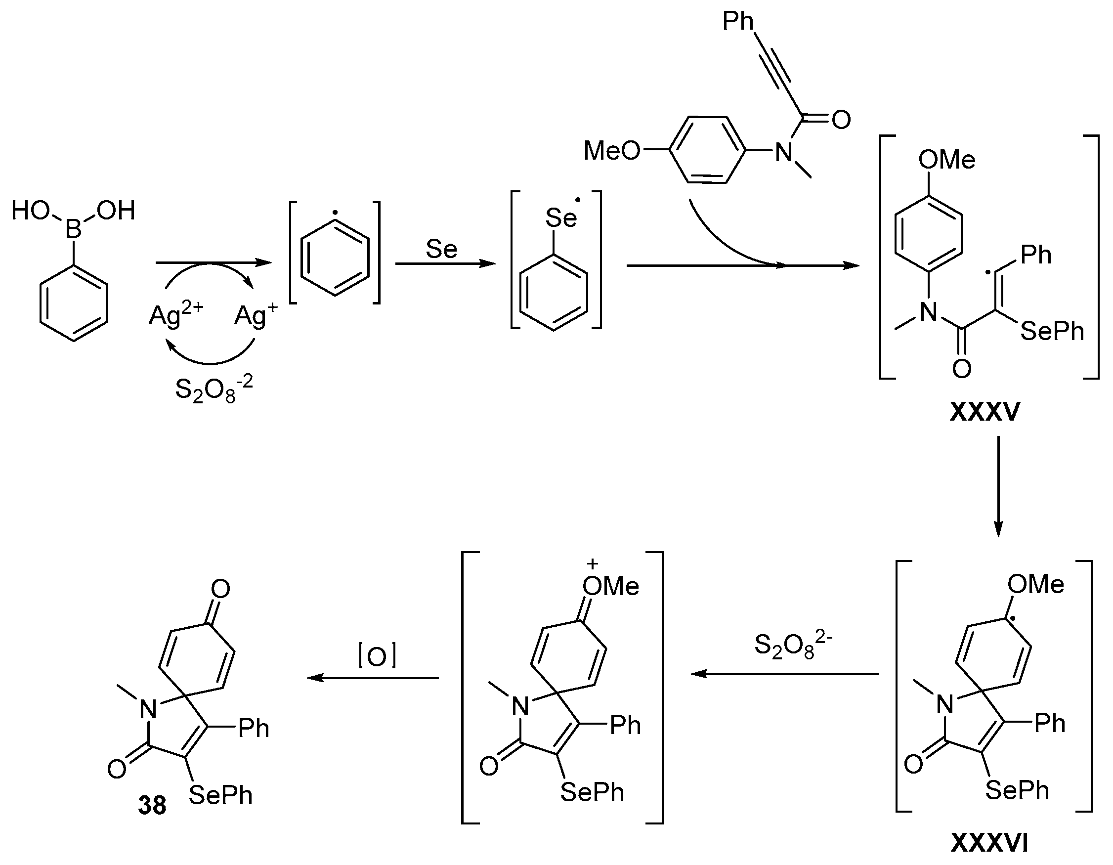 Catalysts 13 01300 sch049
