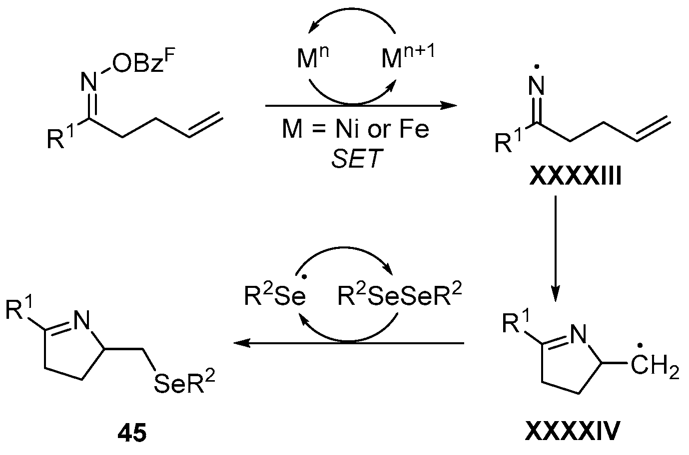 Catalysts 13 01300 sch060