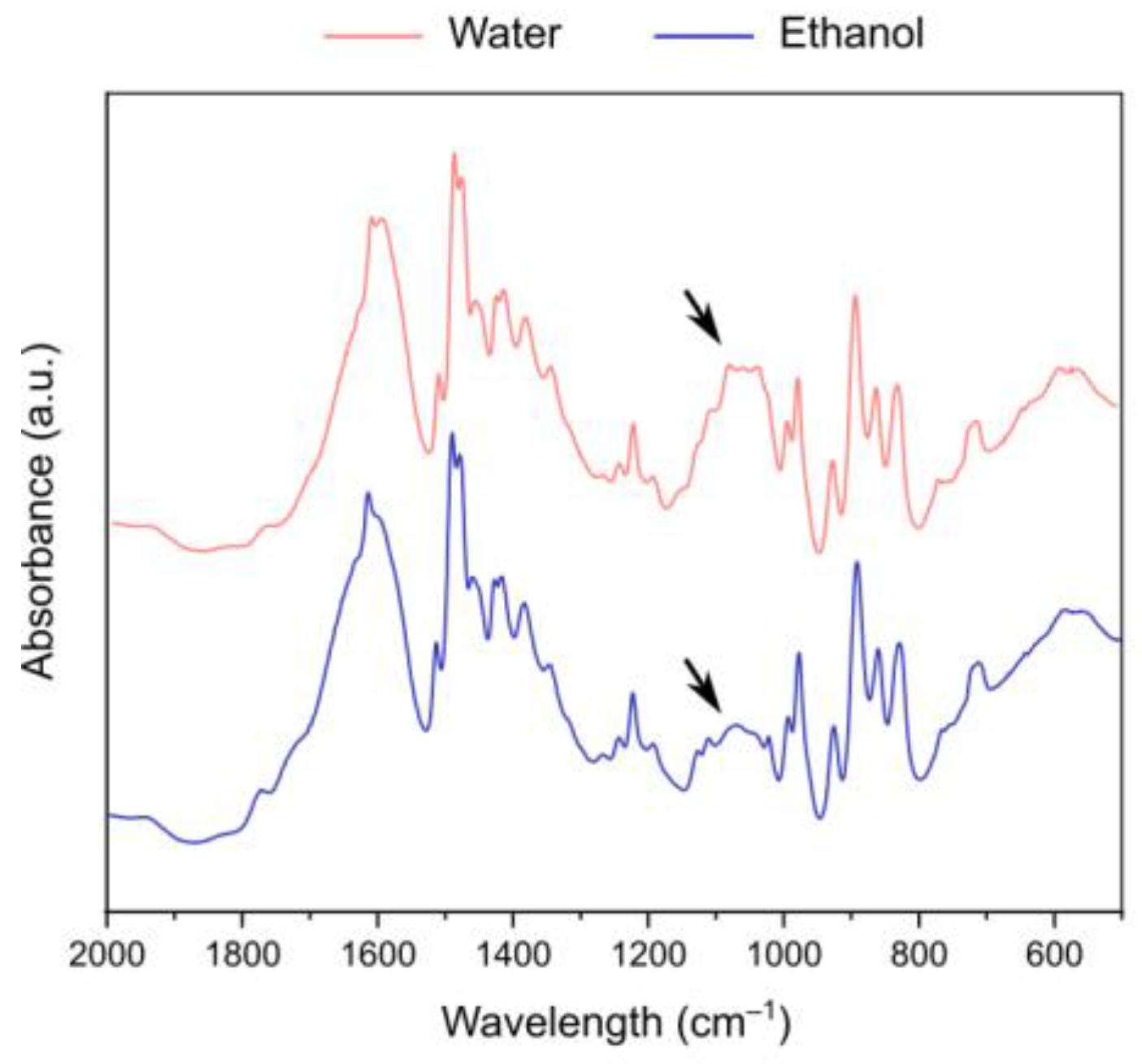 Catalysts 13 01301 g007