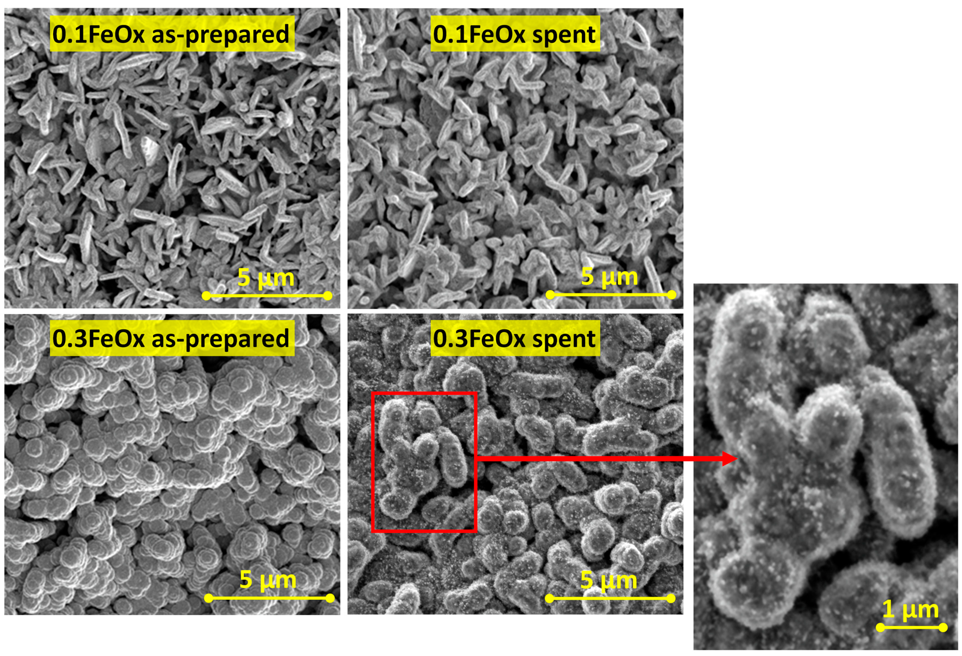 Catalysts 13 01302 g005