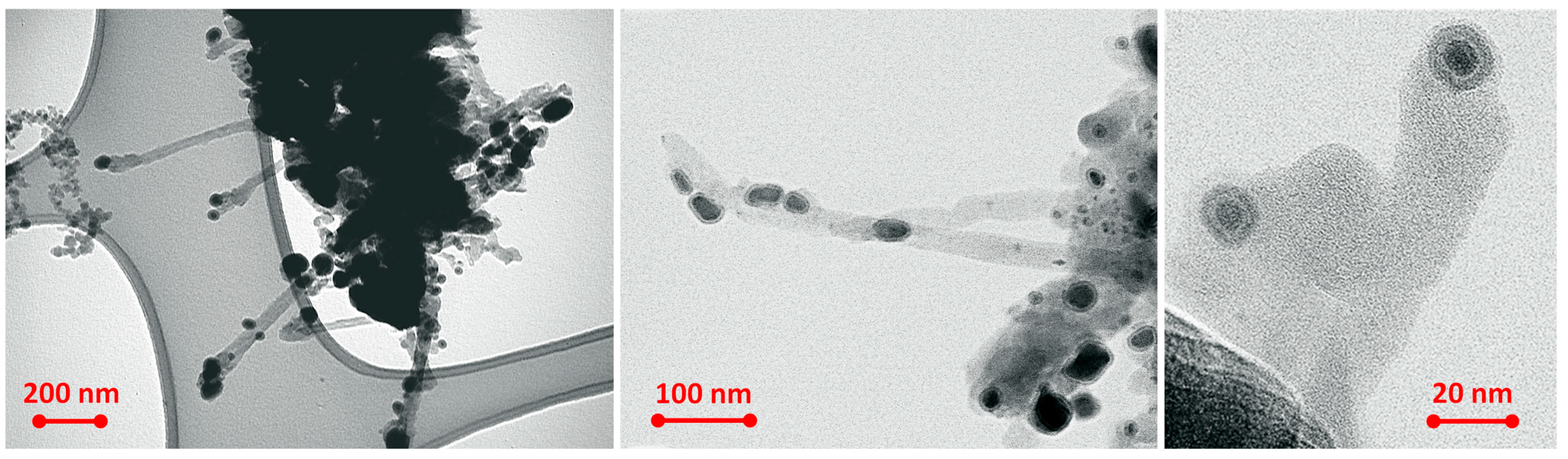 Catalysts 13 01302 g006
