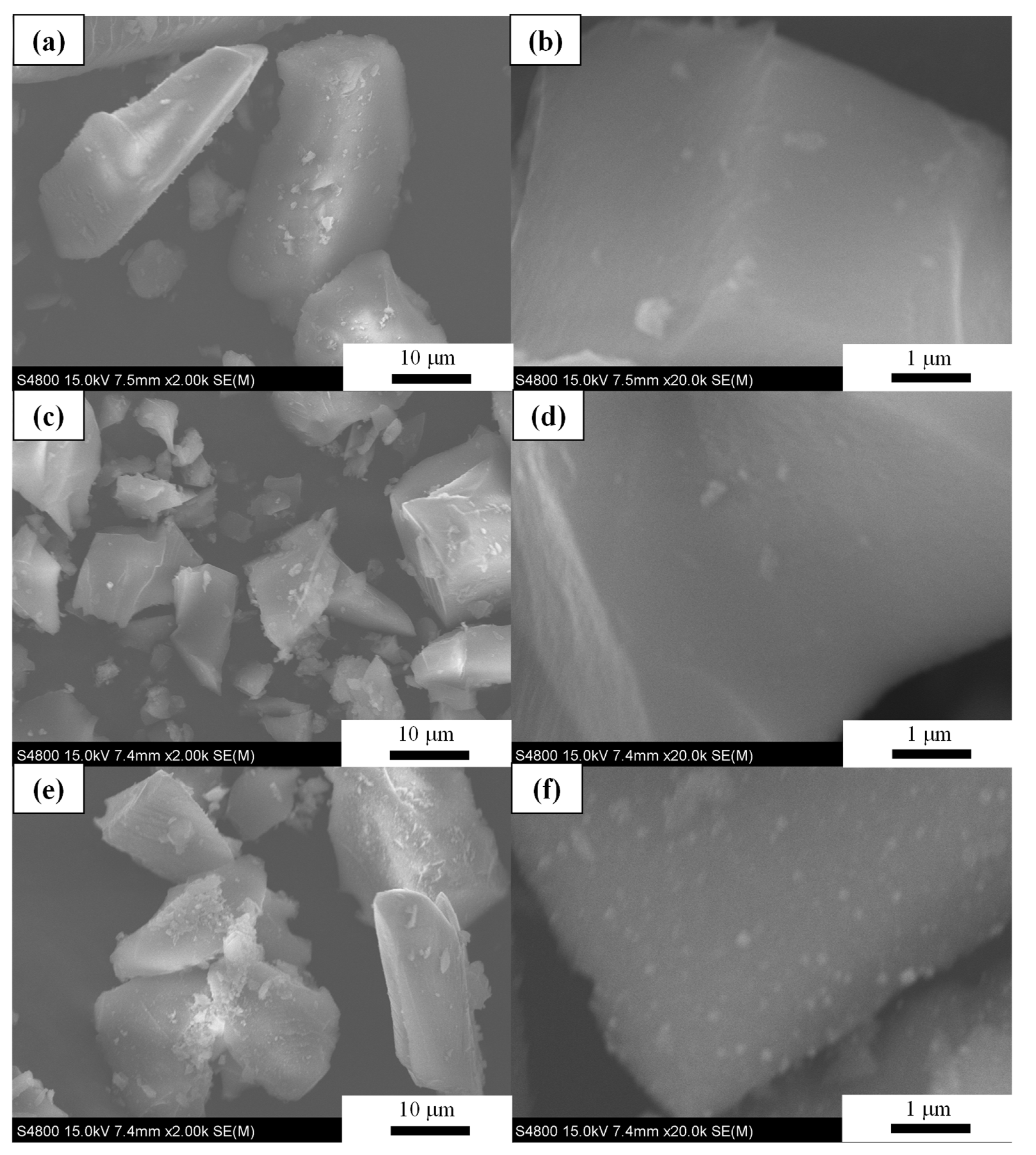 Catalysts 13 01303 g005