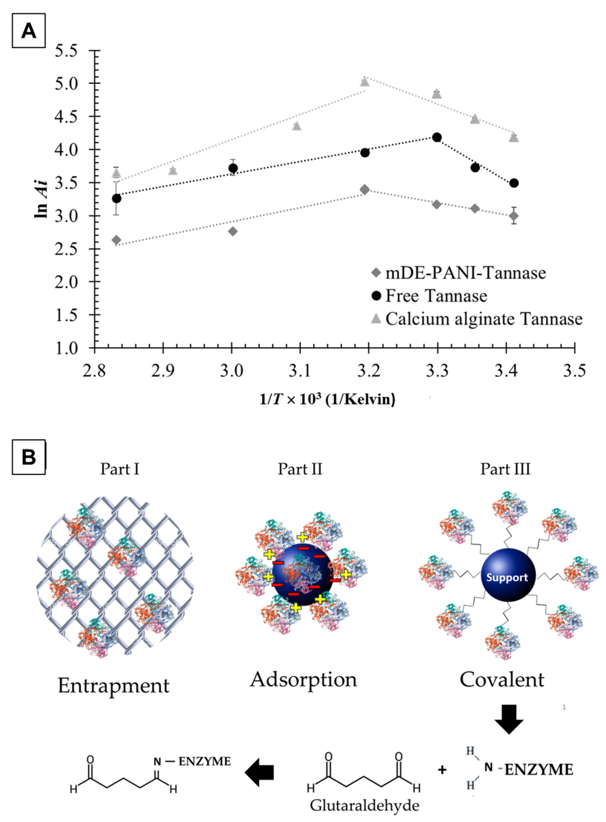 Catalysts 13 01304 g001