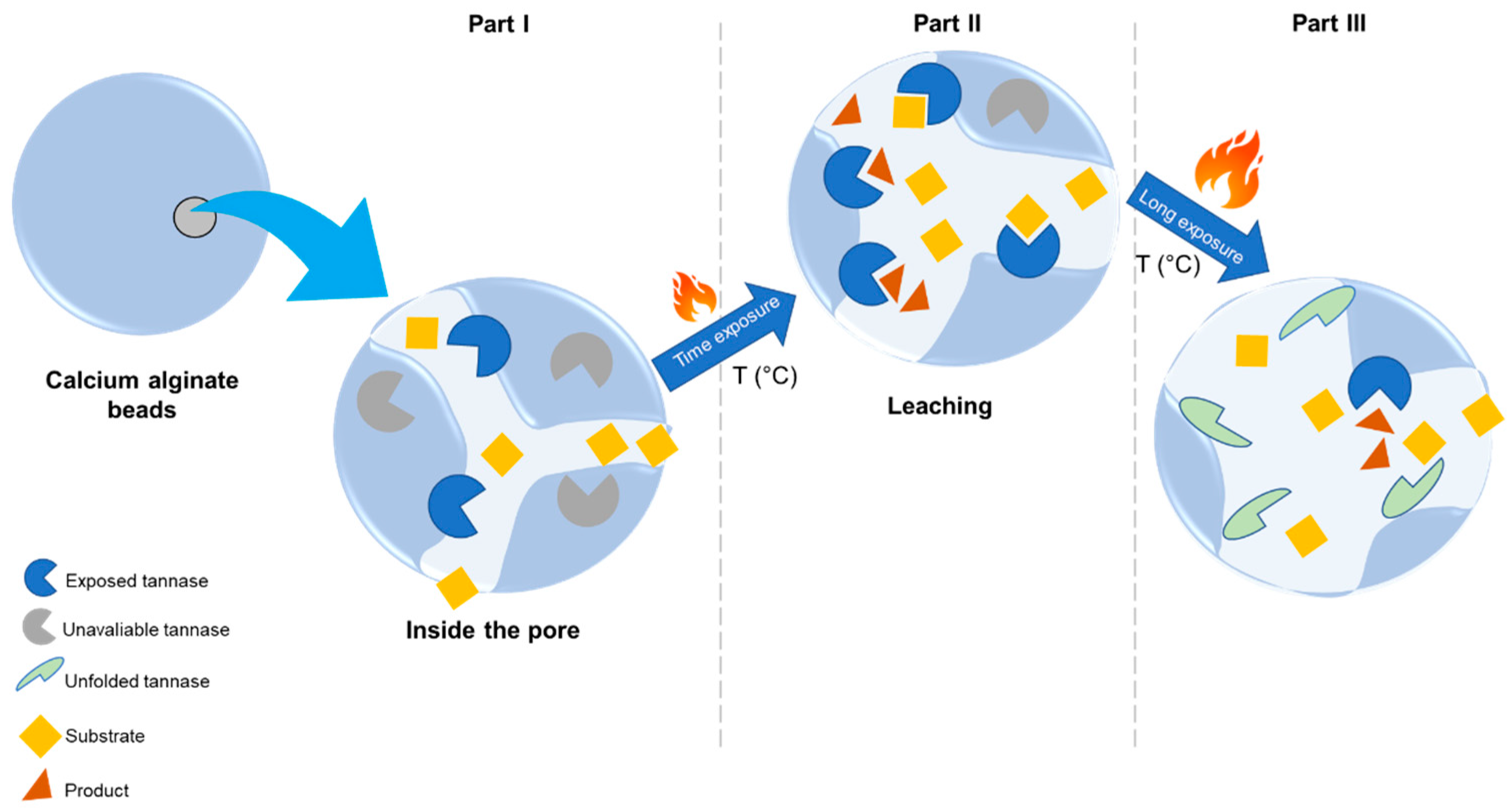 Catalysts 13 01304 g005