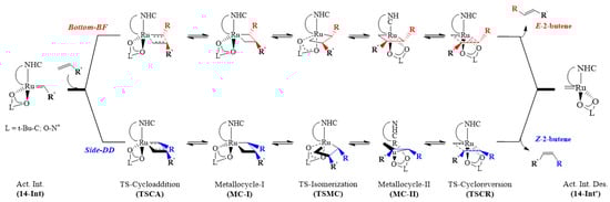 Catalysts 13 01305 g004