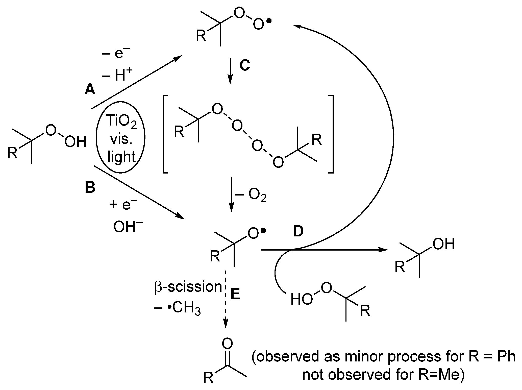 Catalysts 13 01306 sch002 Catalysts 13 01306 sch002