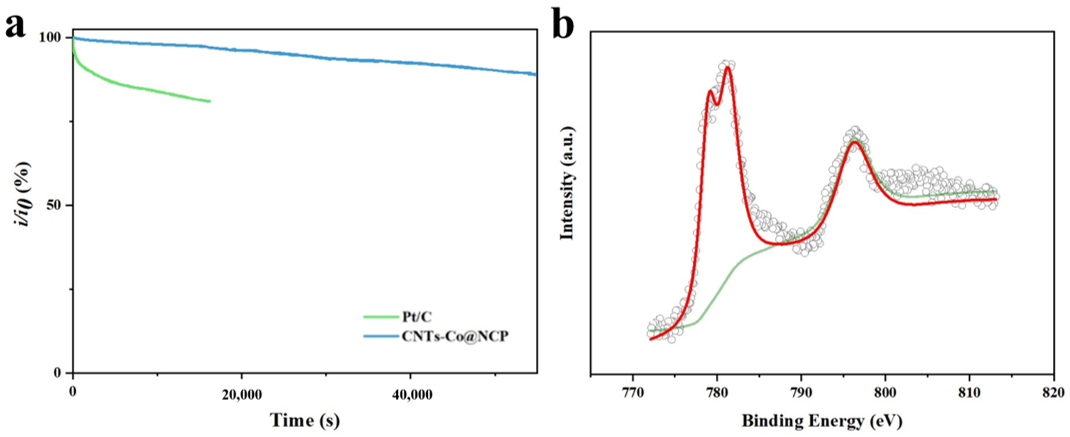 Catalysts 13 01307 g011