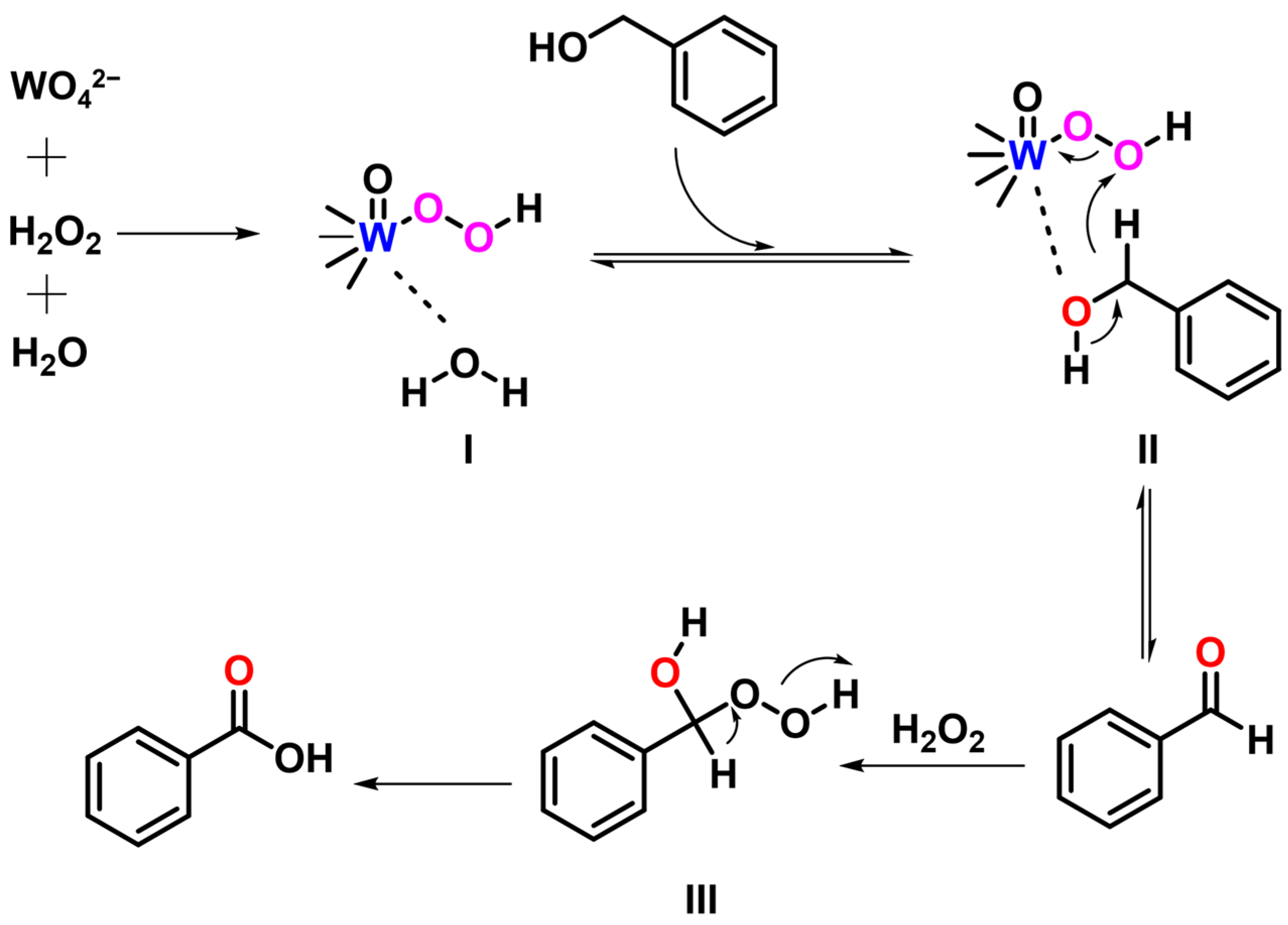 Catalysts 13 01309 g003
