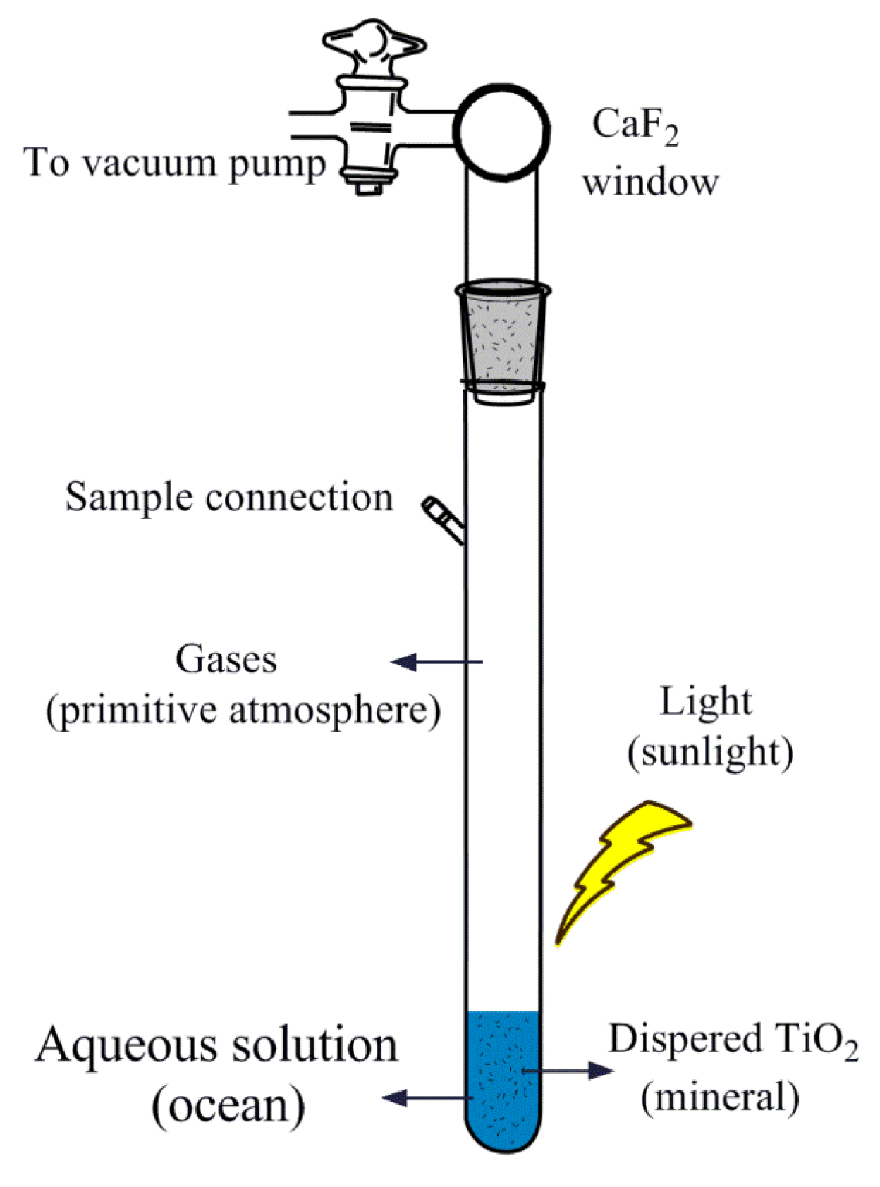 Catalysts 13 01310 g001