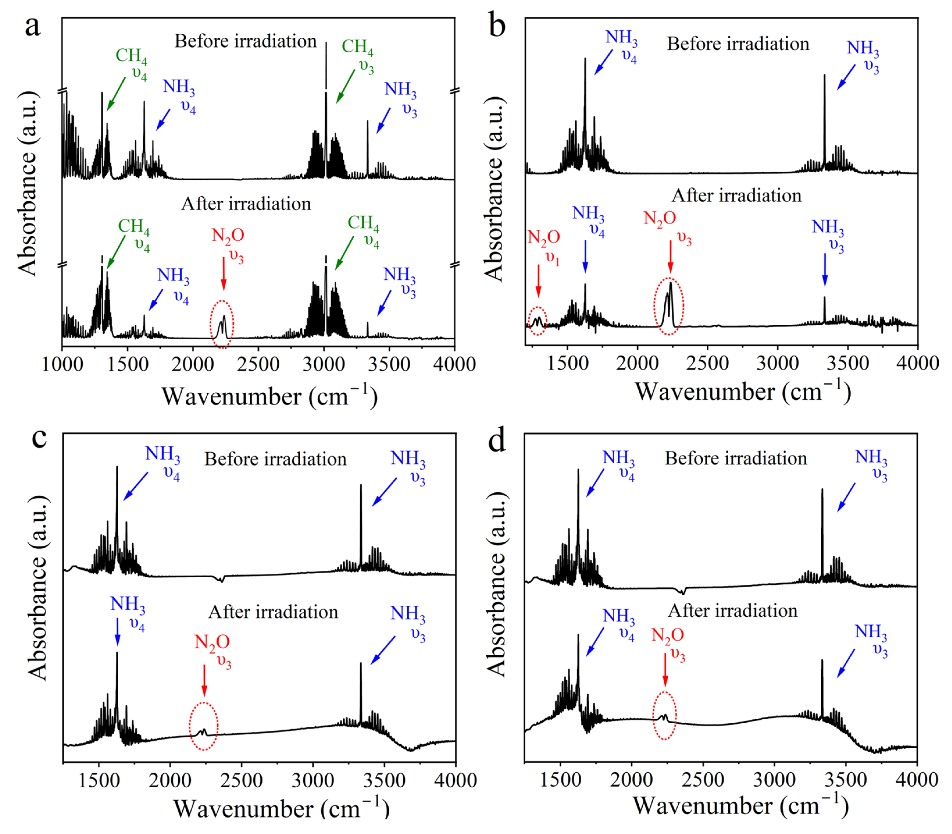 Catalysts 13 01310 g002