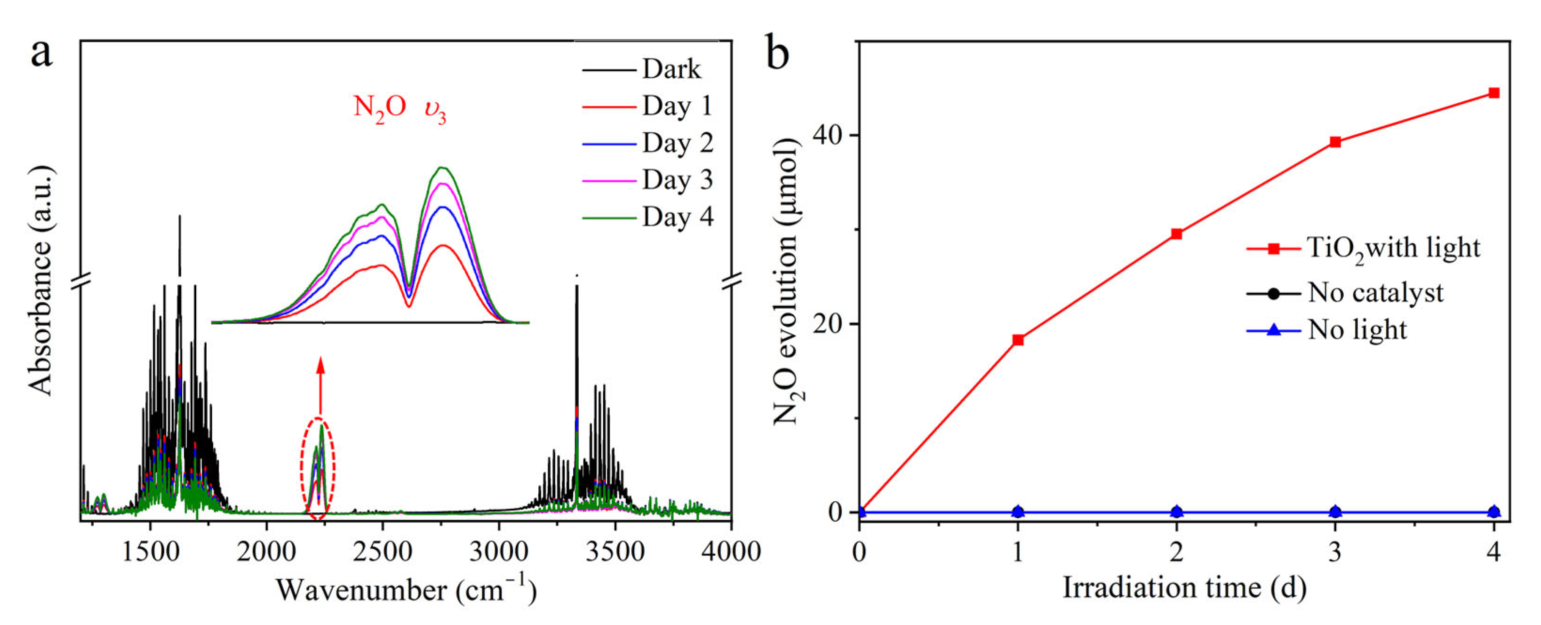 Catalysts 13 01310 g003