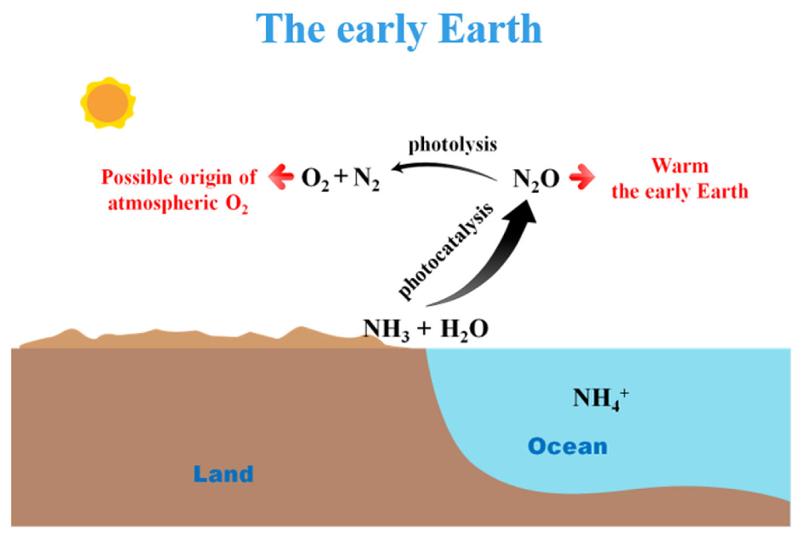 Catalysts 13 01310 g007