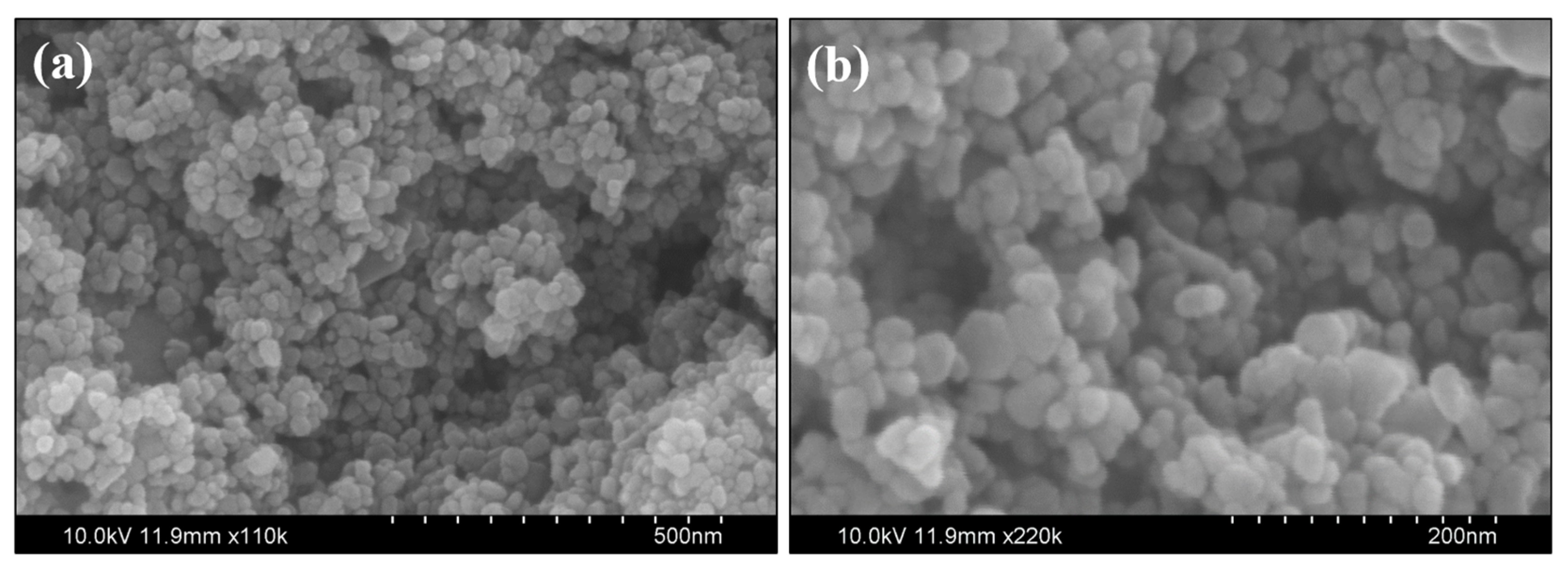 Catalysts 13 01312 g002 Catalysts 13 01312 g002