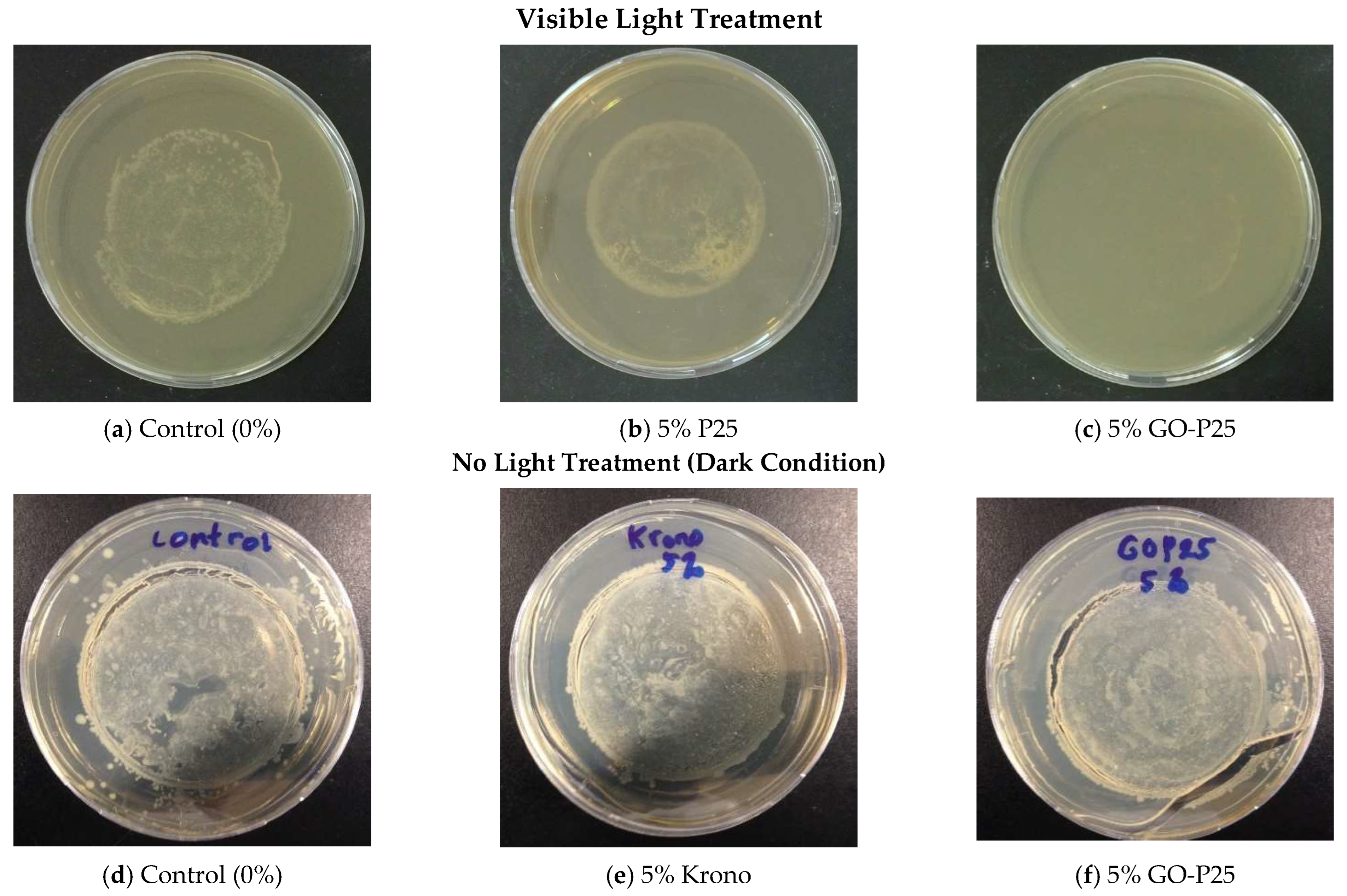Catalysts 13 01313 g009